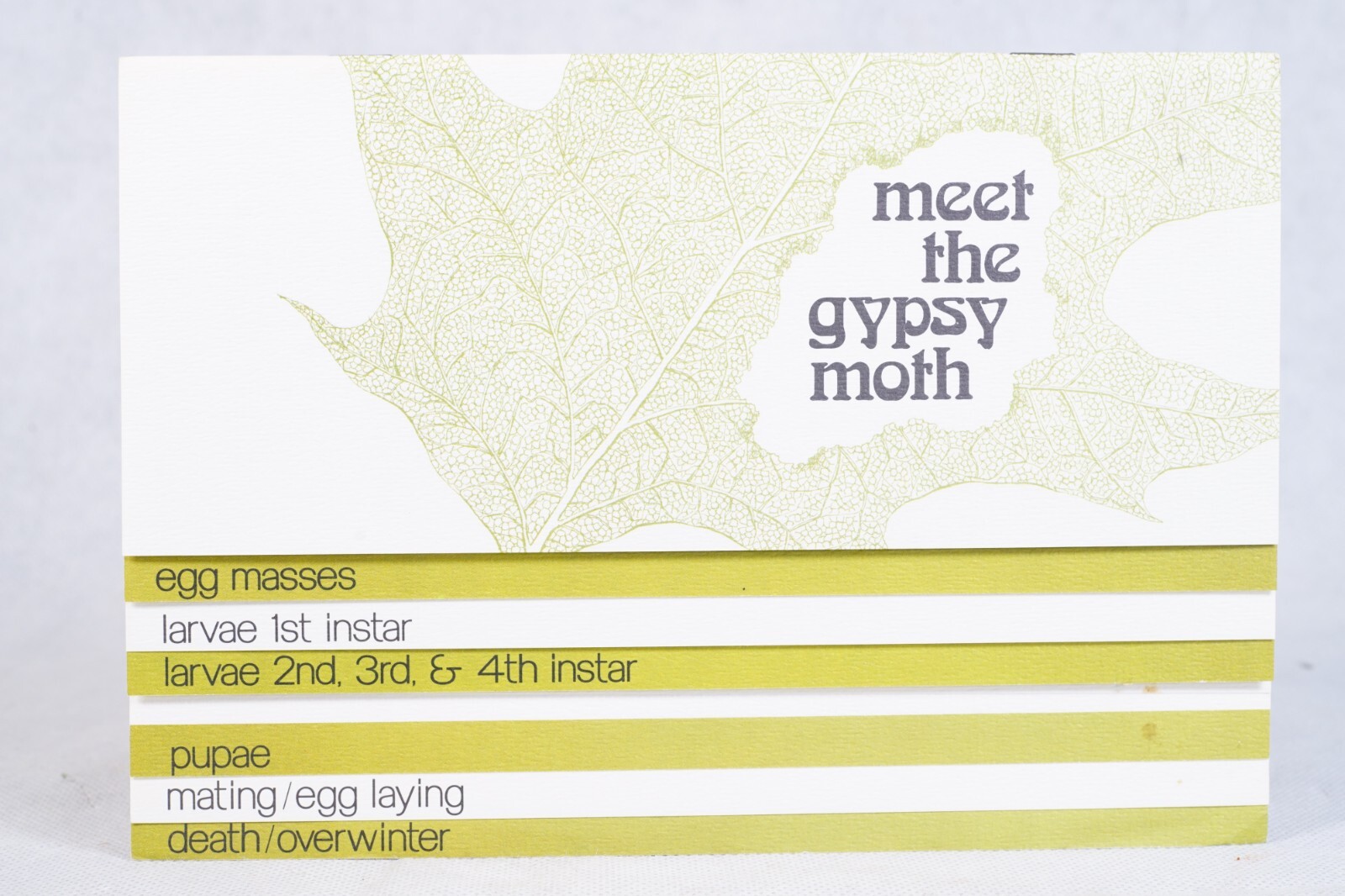 PA Vintage Agricultural Brochure Meet Gypsy Moth R.T. Zerillo and J.D. Podgwaite