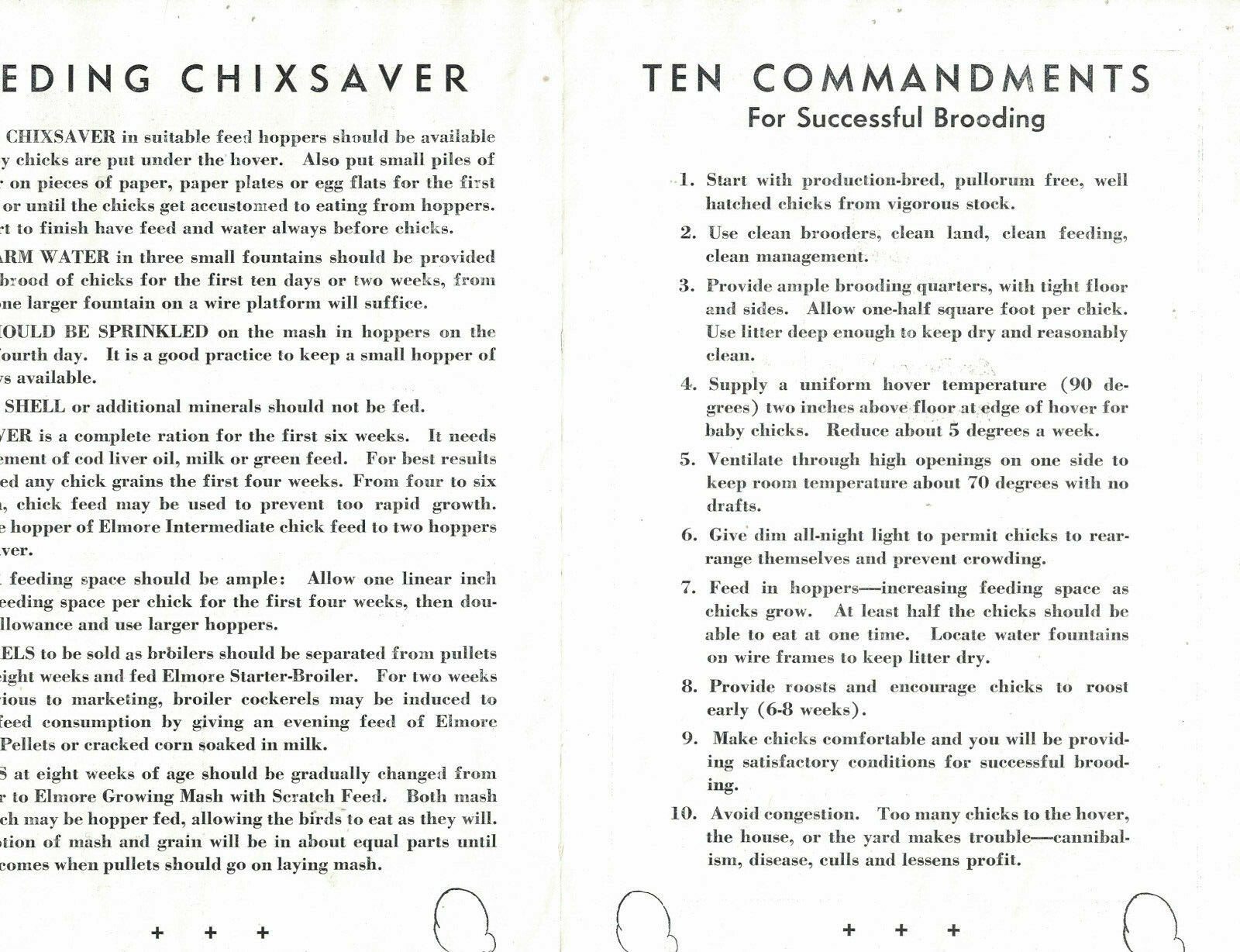 1930s Elmore&rsquo;s Chicksaver Care Feeding Chicks Bill Monahan Elmore Milling NY