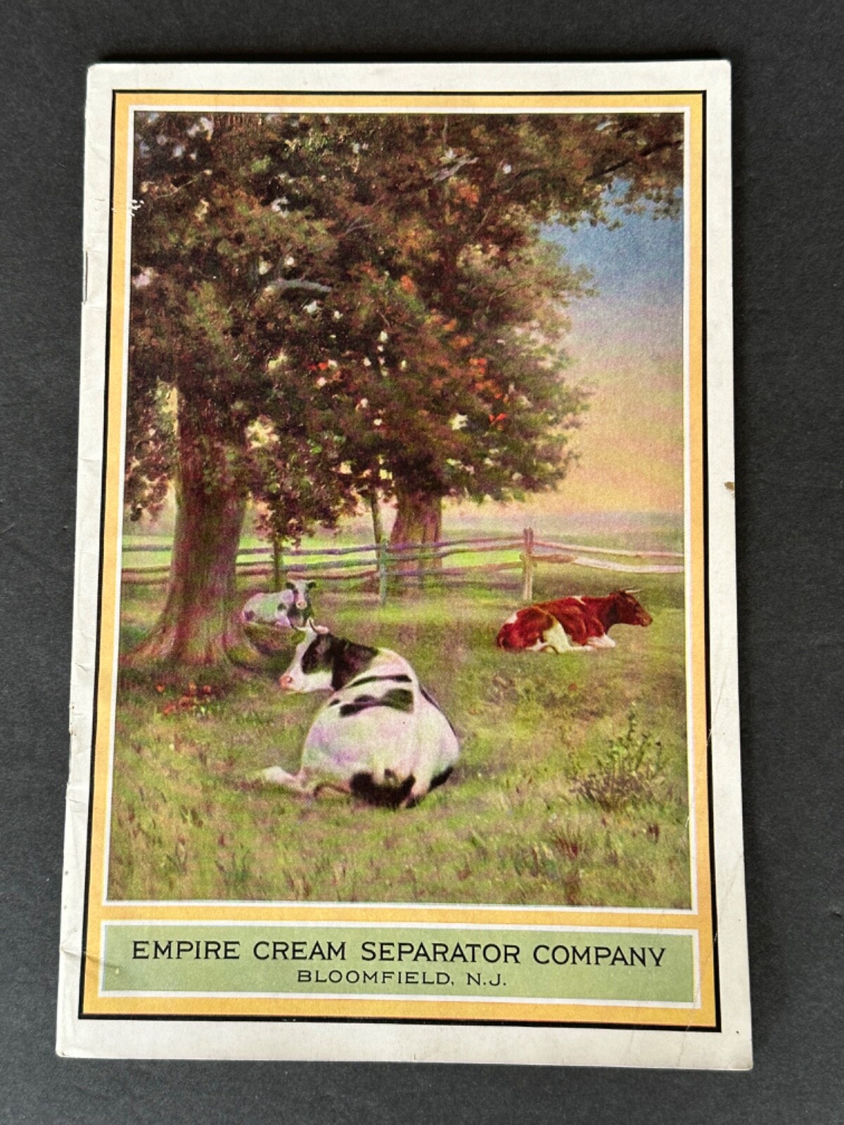 VINTAGE Advertising Catalog Dairy Machinery Empire Cream Separator Company 1914