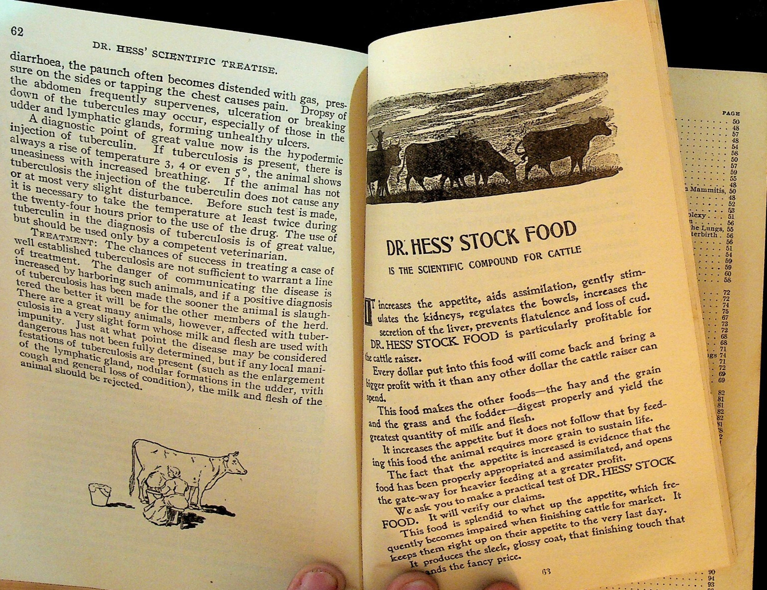 Dr Hess Stock Book Scientific Treatise on Horses Cattle Sheep Hogs Poultry 1901