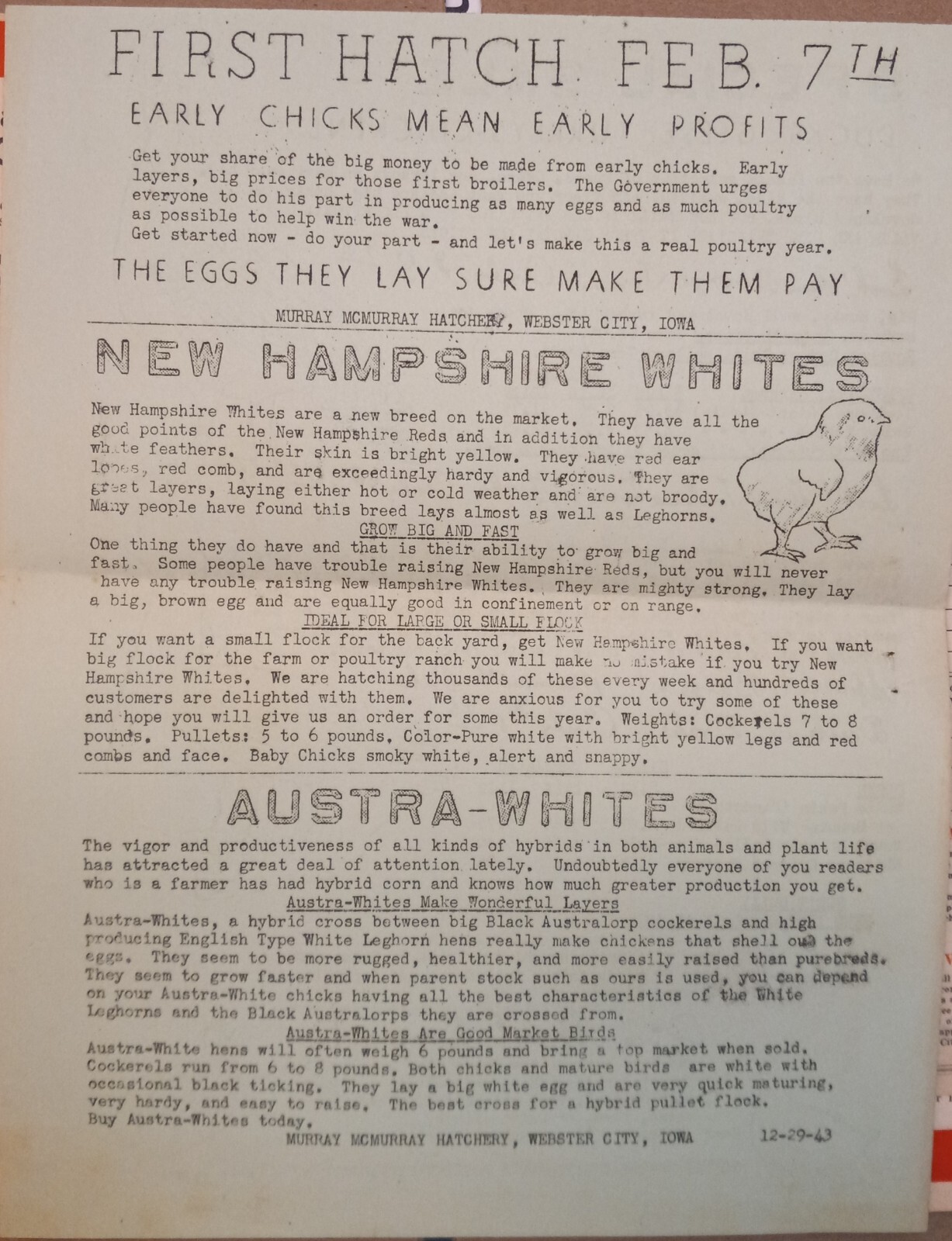 Vtg 1944 Murray McMurray Hatchery Webster City Ia Catalog Order Form Price List