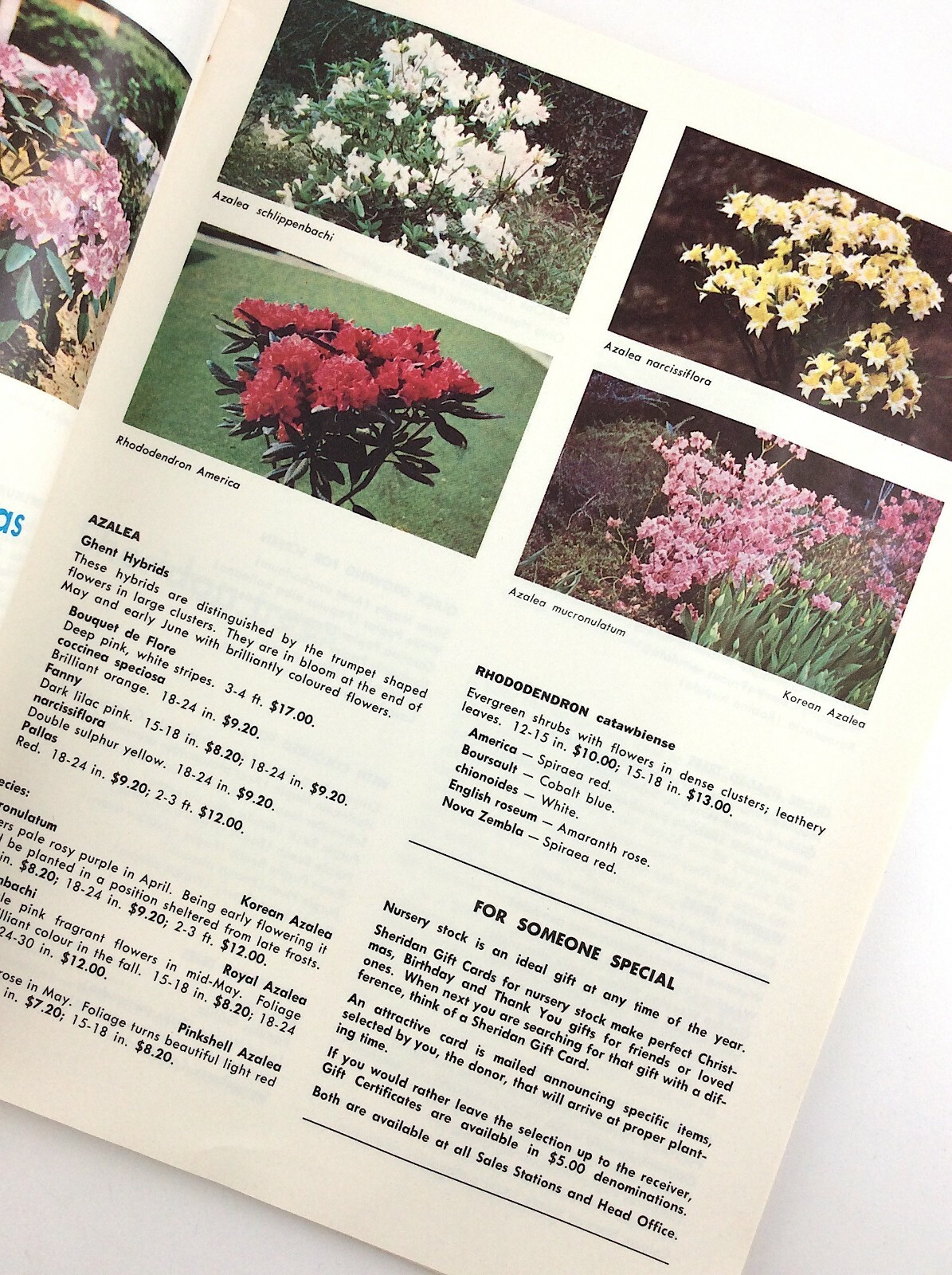 Vintage 1966 Seed Catalog Sheridan Nurseries Limited Ontario Canada Q288