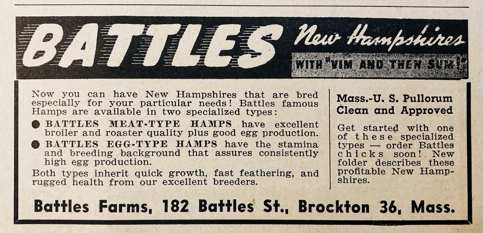 1948 AD.(XH86)~BATTLES FARM, BROCKTON, MASS. NEW HAMPSHIRE CHICKENS
