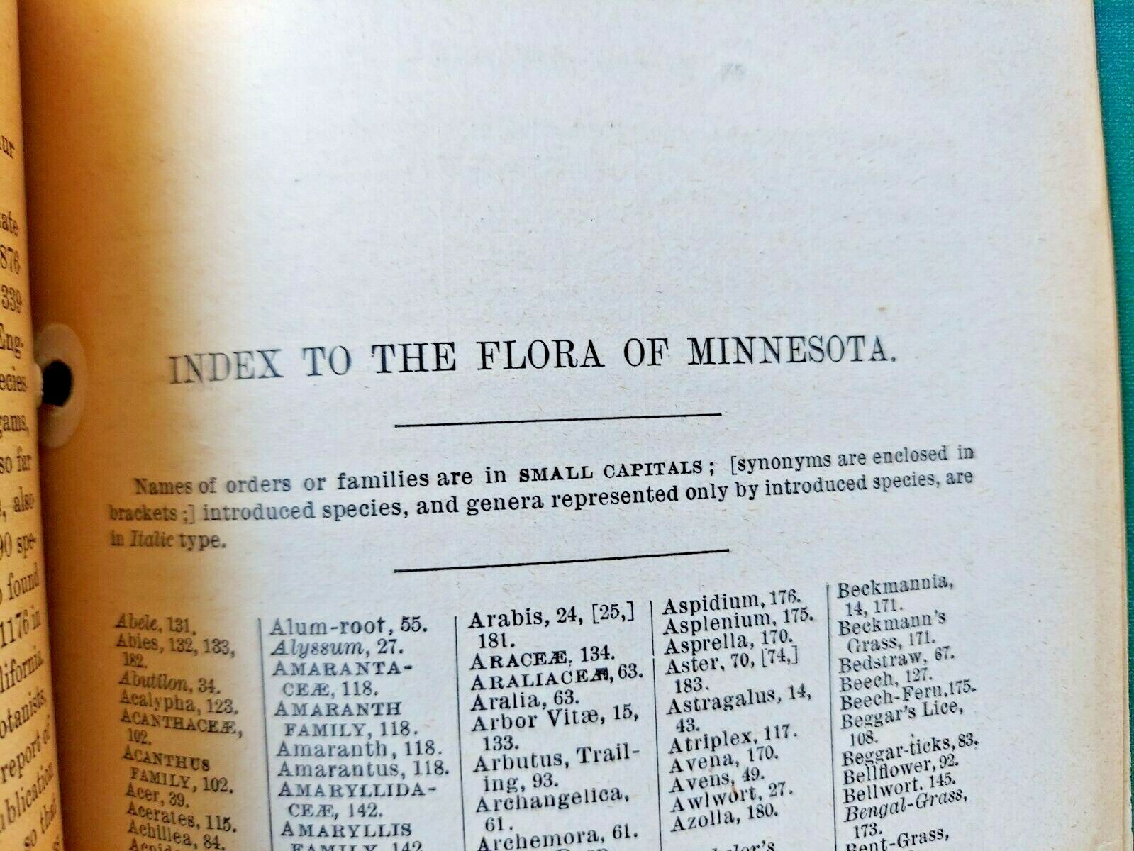 1884 « Flora of Minnesota » in vintage lawn care book Scotts Lawn Care binder