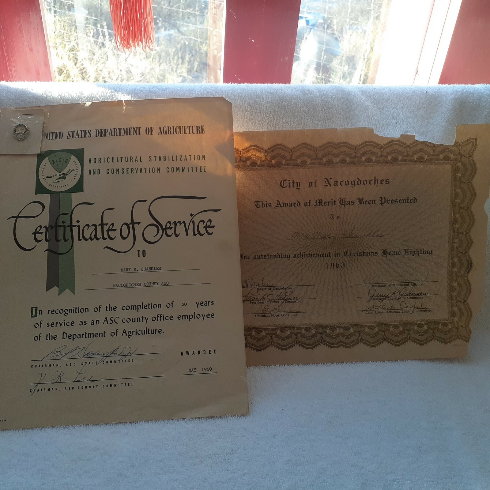 US Department Of Agriculture ASC 20 Year Pin & Certificate