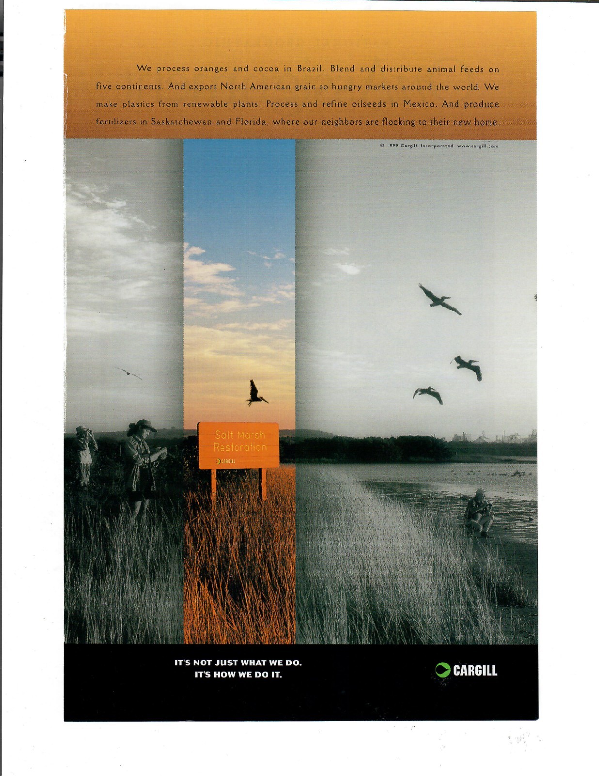 1999 Cargill Vintage Print Ad Farming Grain Feeds Advertisement Salt Marsh