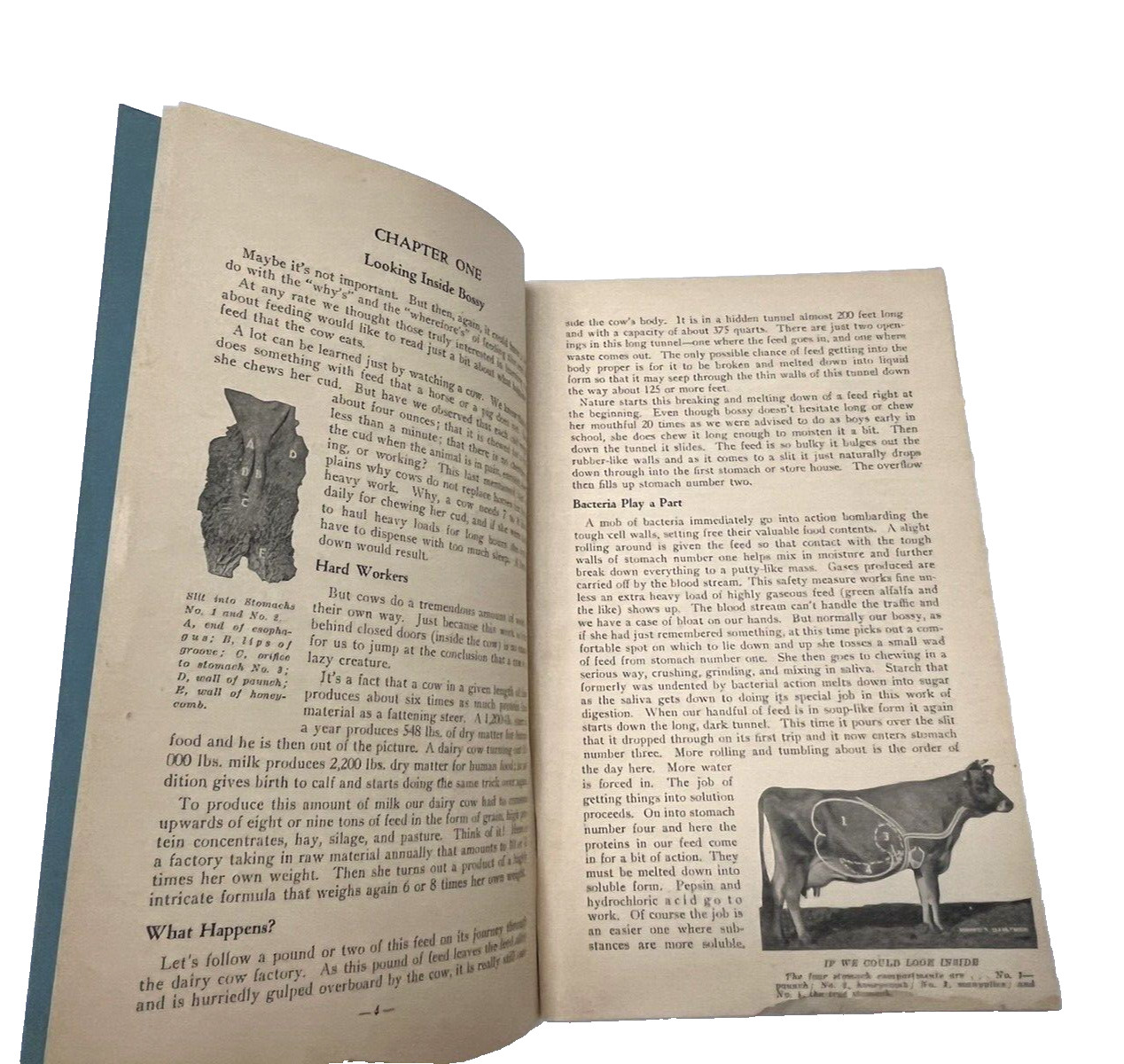 Hoards Booklet LOT Common Ailments Dairyman Feed Guide Farm Animals Cow Pig VTG