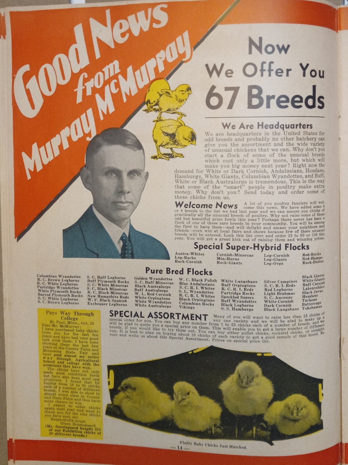 Vtg 1944 Murray McMurray Hatchery Webster City Ia Catalog Order Form Price List