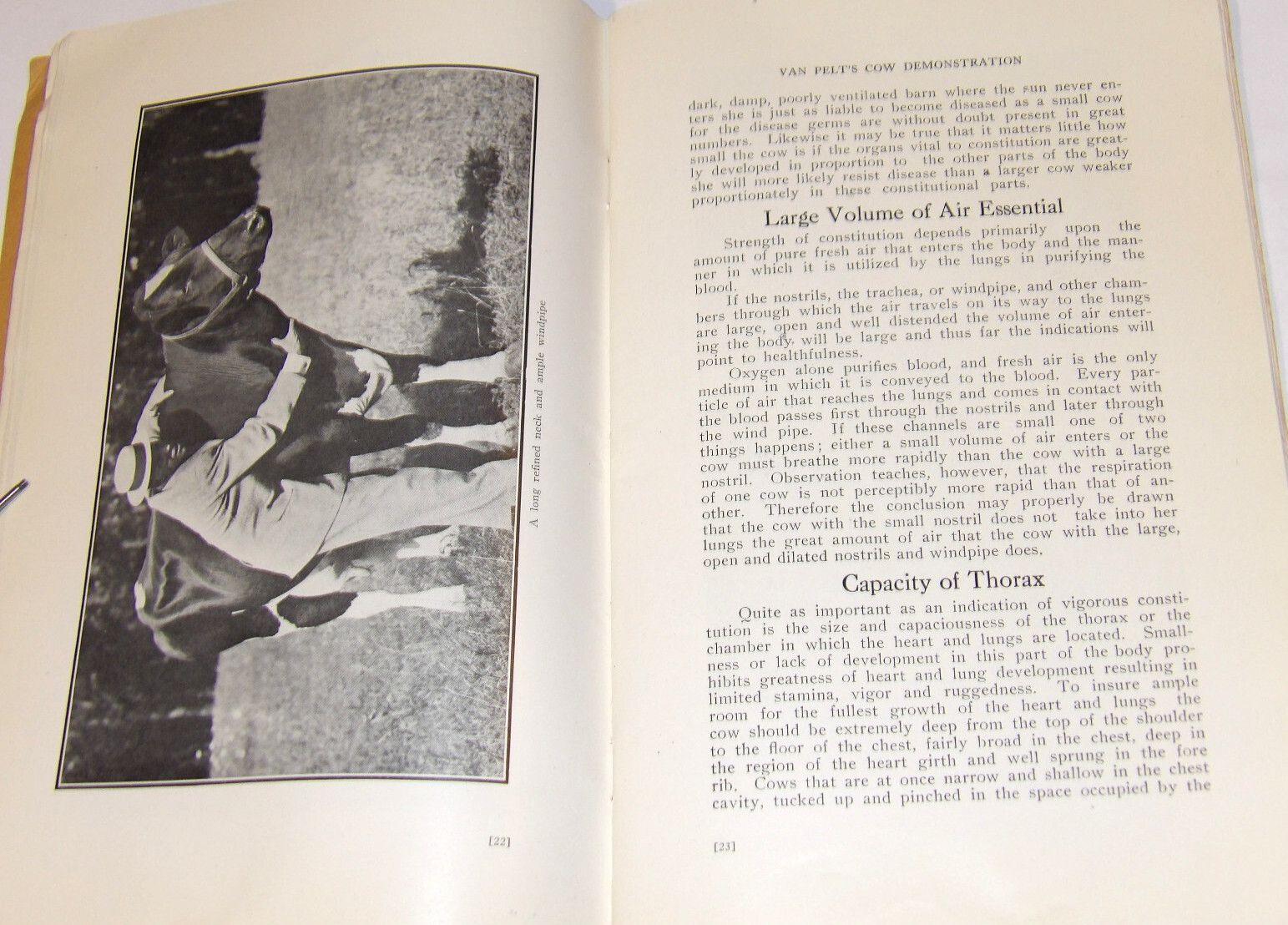 1911 VAN PELT&rsquo;S COW DEMONSTRATION BOOK! 1st EDITION! ILLUSTRATED! 5 ESSENTIALS!