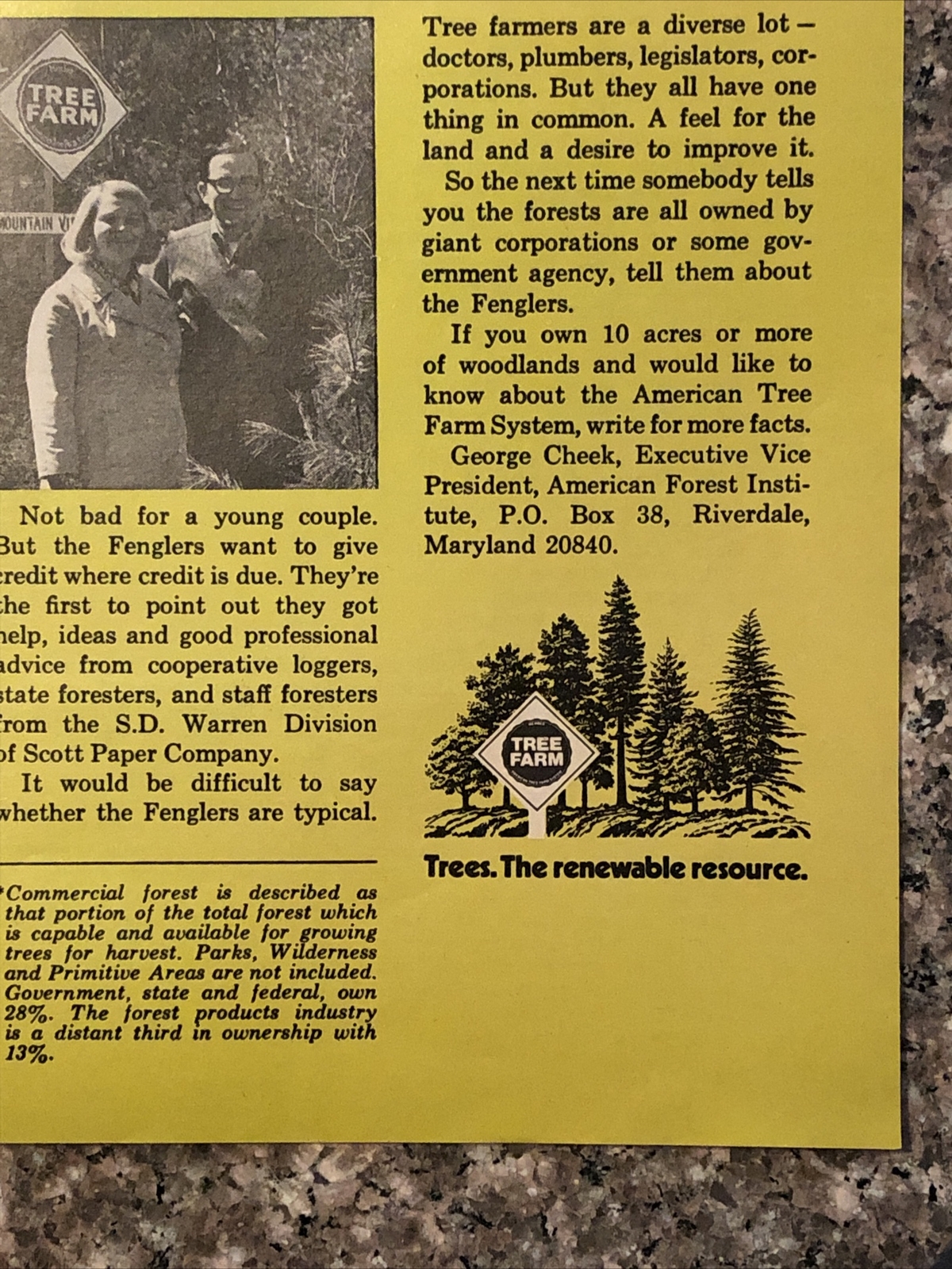1974 American Forest PRINT AD Wallace Sylvia Fengler Scarborough Maine VTG 1970s