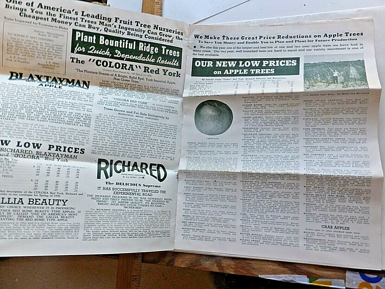 1938 Bountiful Ridge Nurseries, Princess Anne, MD. Complete Price List for Fall.