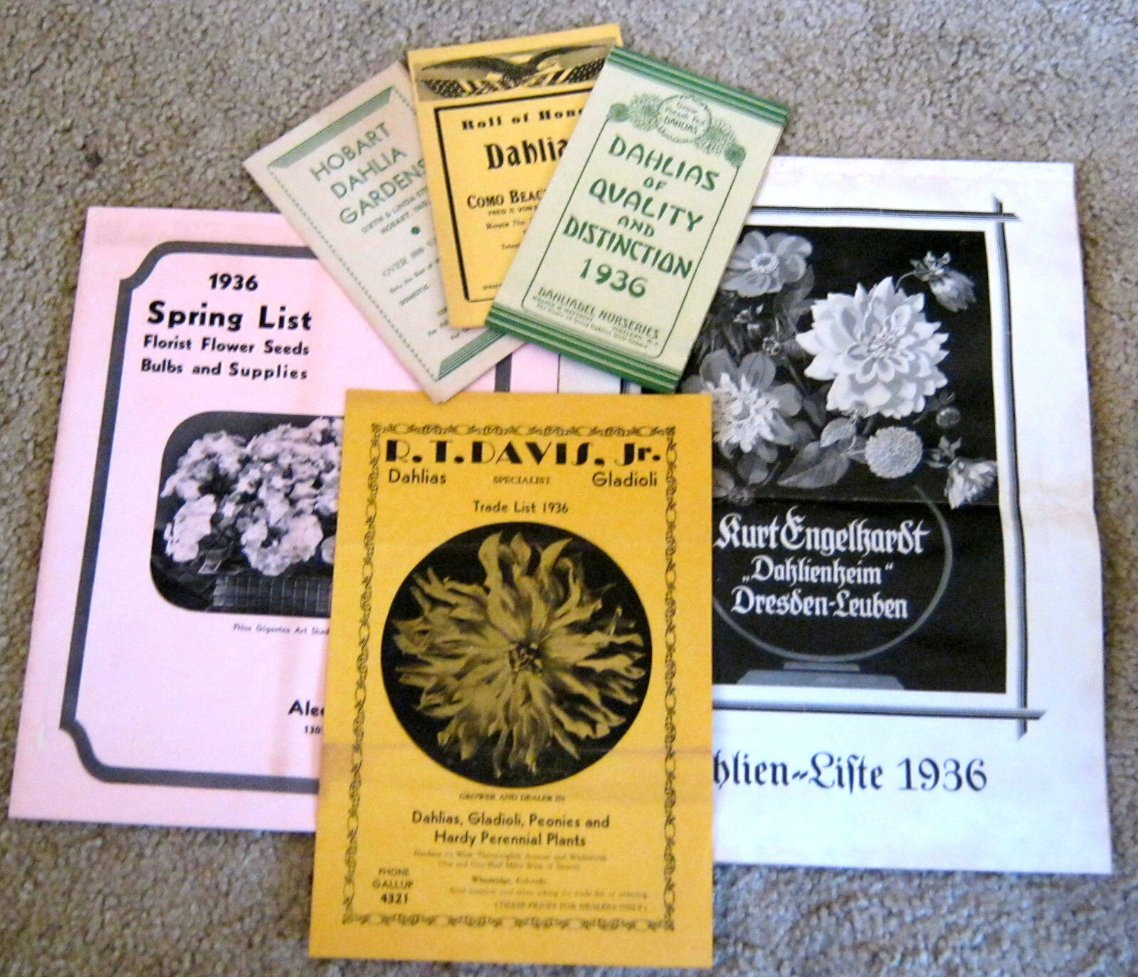 HUGE 1900-50&rsquo;s Collection DAHLIAS & Flower Clubs Seeds BOOKLETS Brochure Letters