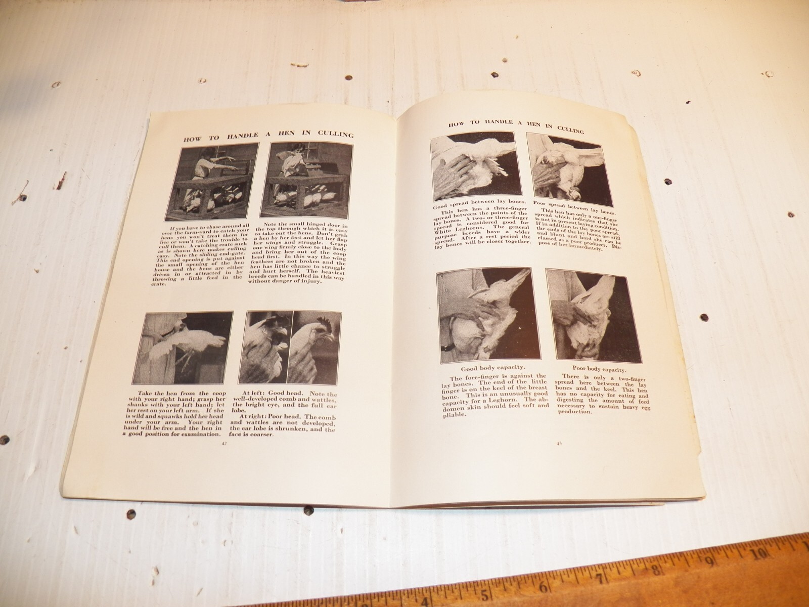 1921 POULTRY FOR THE FARM AND HOME From INTERNATIONAL HARVESTER COMPANY