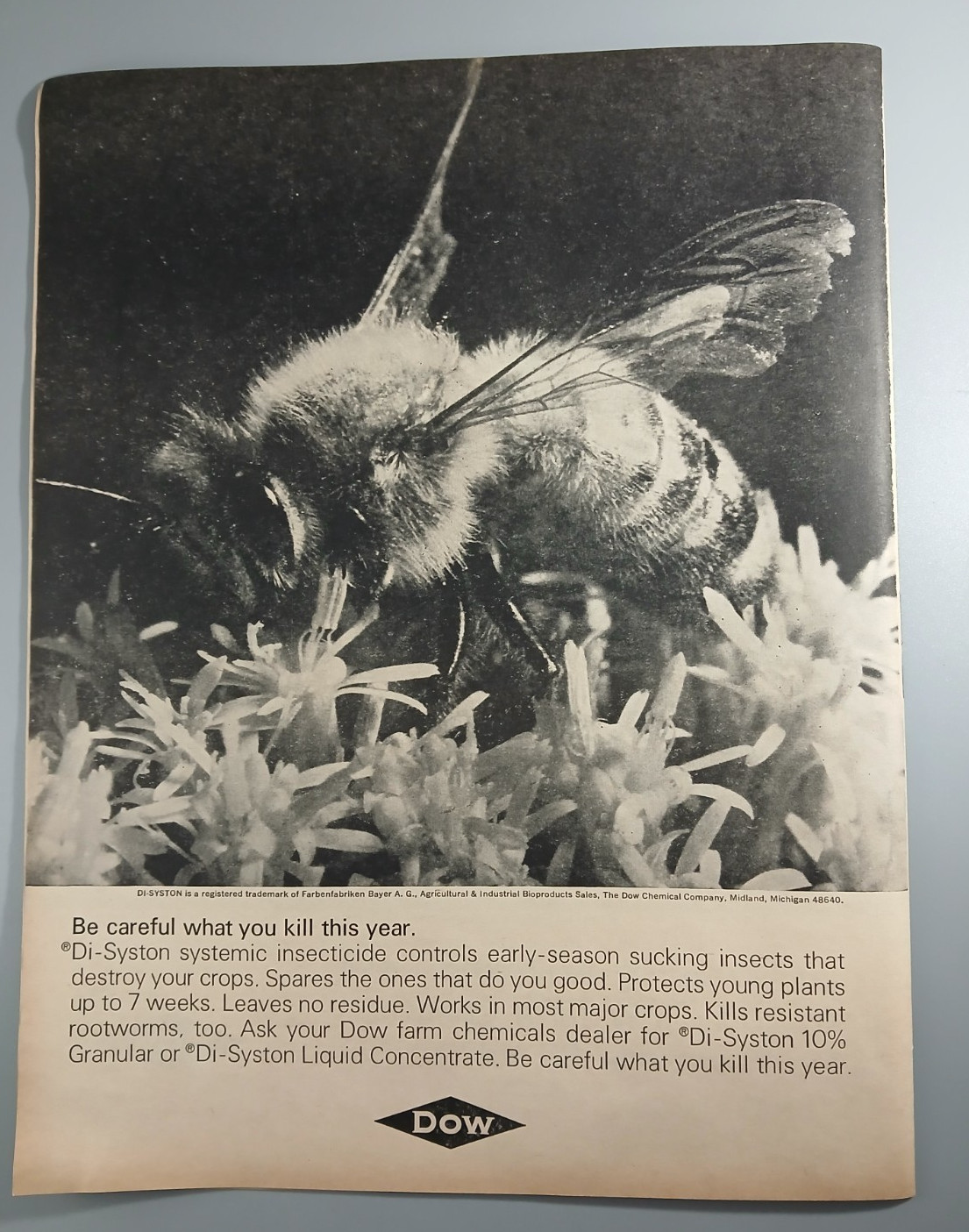 Original 1968 Dow Insecticide Bee Magazine Ad « be Careful What You Kill … »