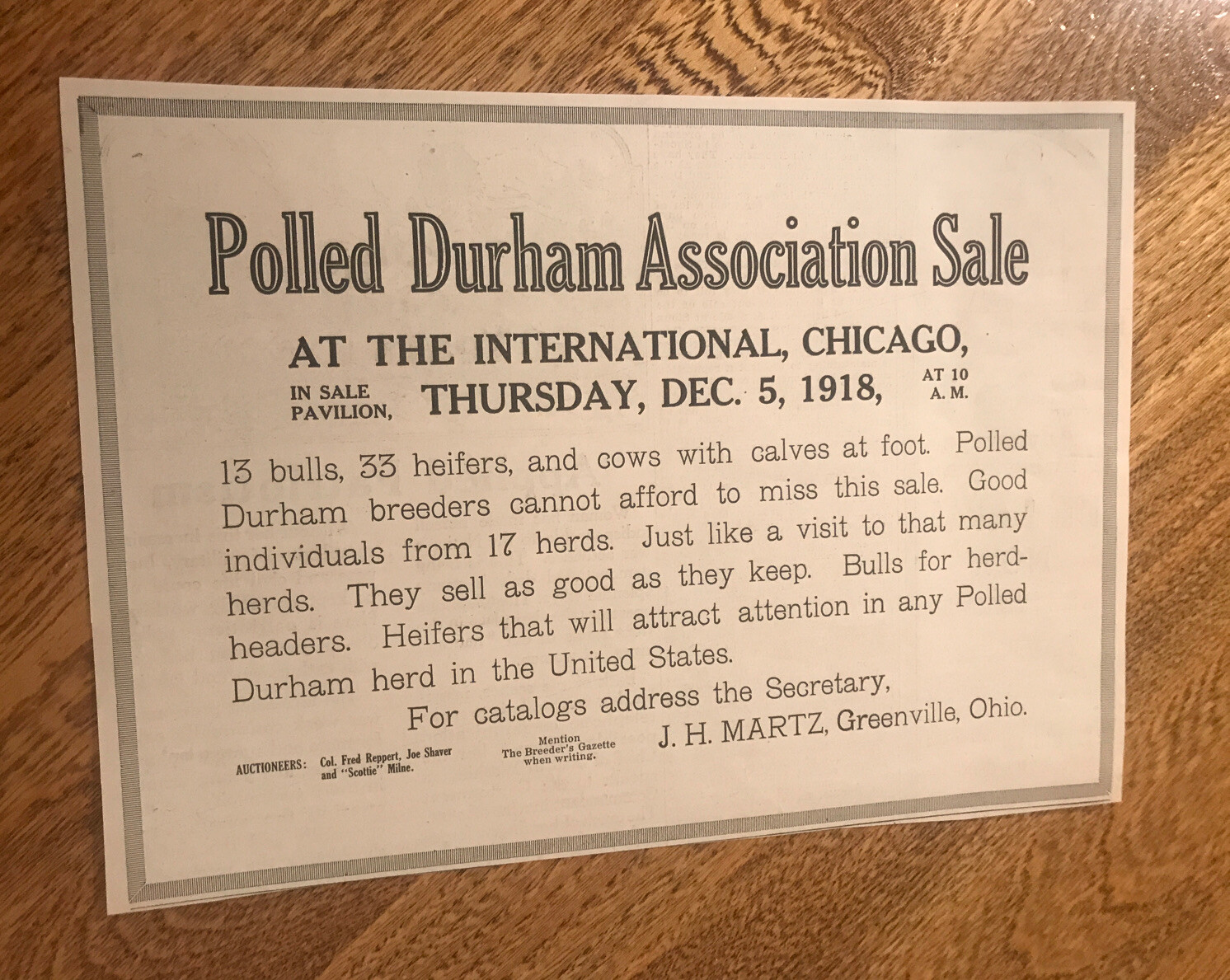 1918 Polled Durham Cattle Public Sale Poster – Chicago – Cow Advertising