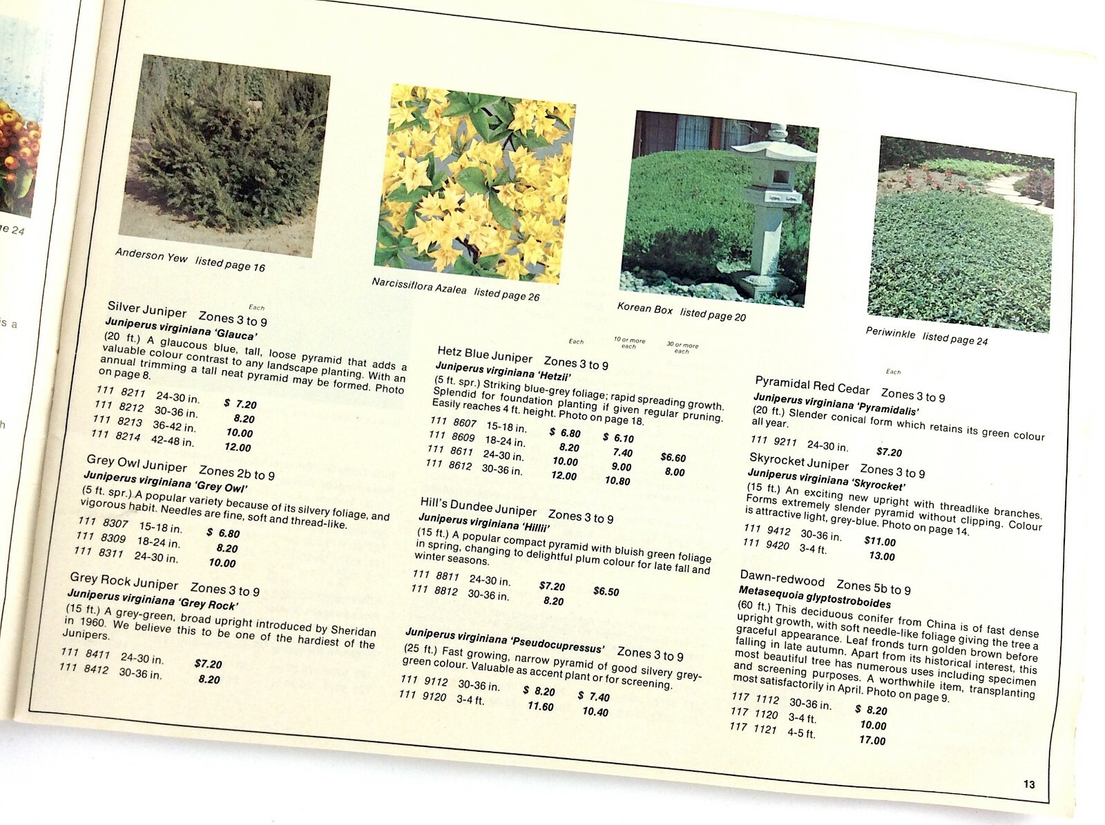 Sheridan Nurseries 1969 Garden Plants Flowers Booklet Guide Catalog L330