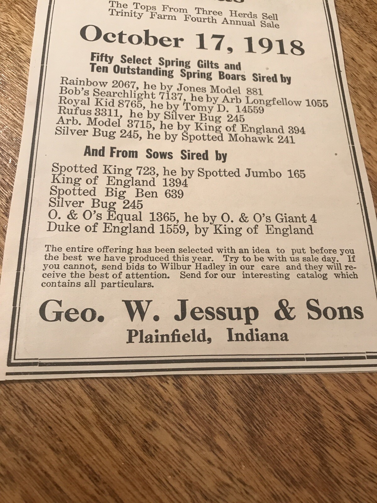 ORIGINAL 1918 Sow Public Sale Plainfield – Indiana – Farm Advertising – Hog Pig