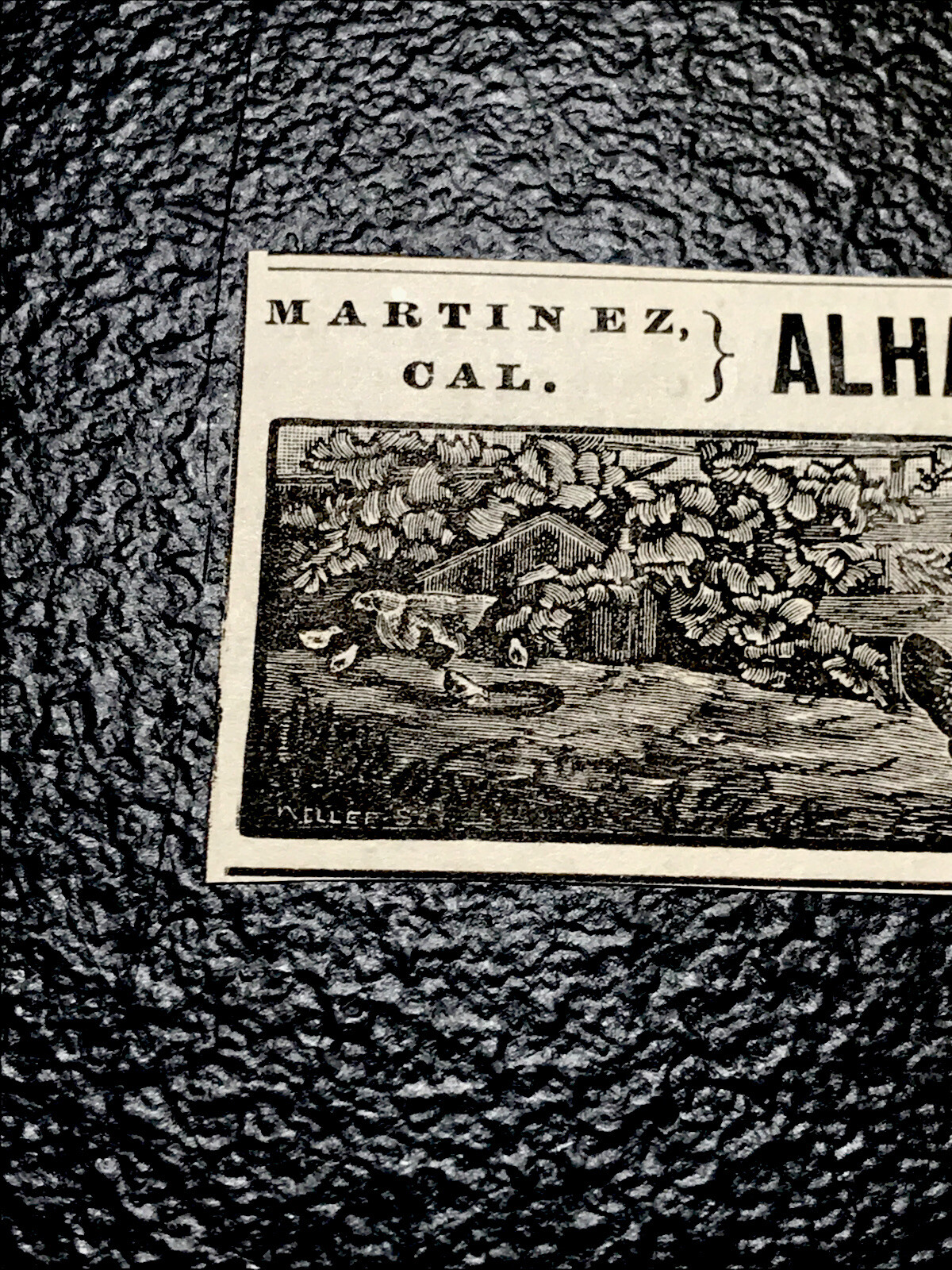 1886 Alhambra Poultry Yards Chicken Farm Advertising – Martinez – California