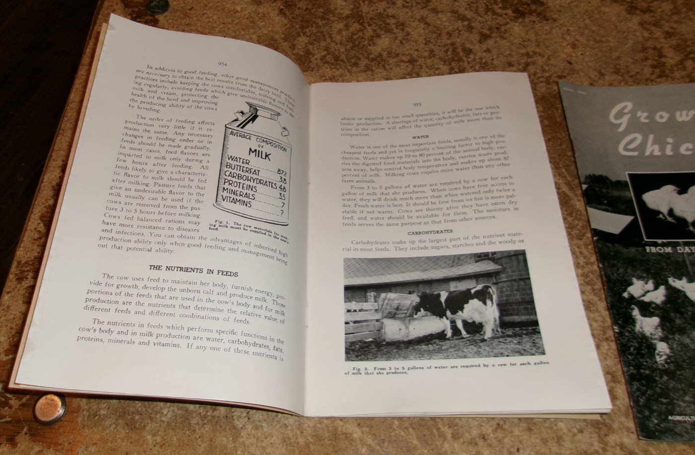 2-lot 1940&rsquo;s Iowa State chickens + dairy cows bulletins in good shape used
