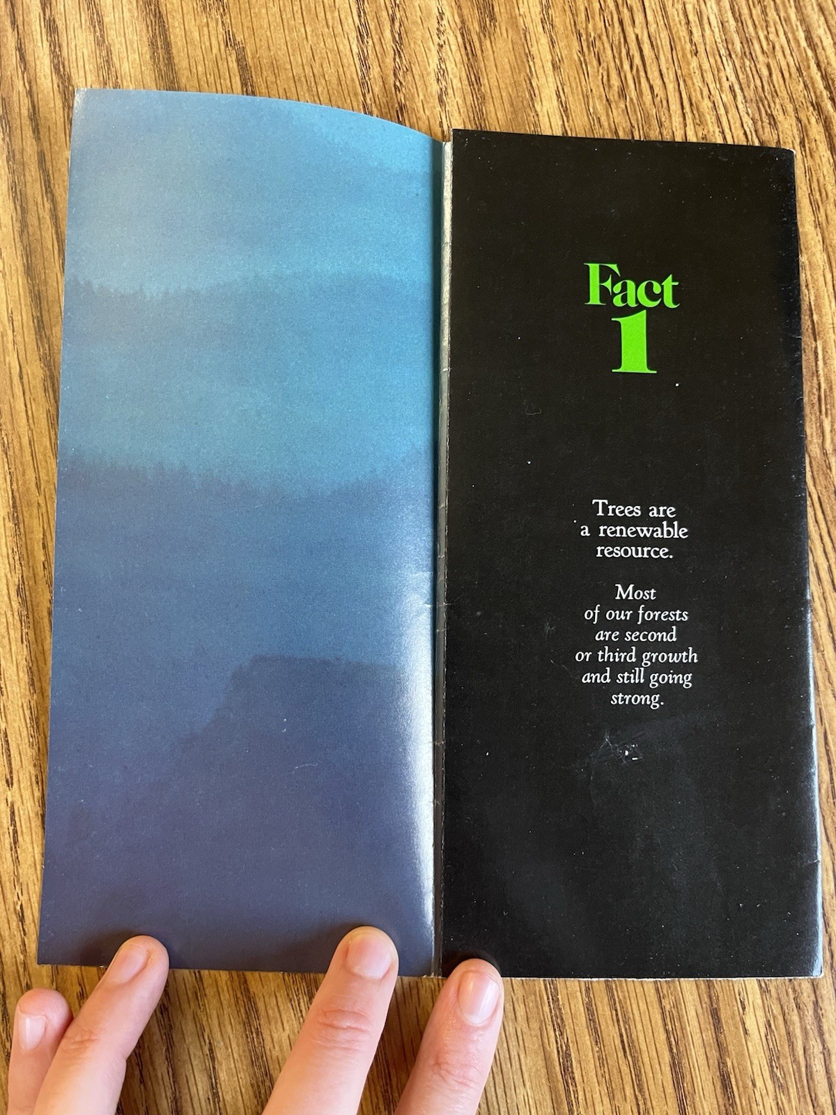 1970s American Forest Institute Vintage Brochure Forest Industry Management
