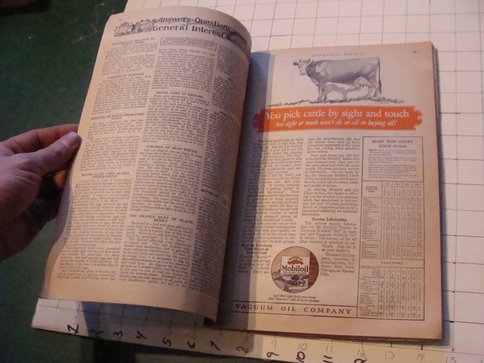 Check it out: SUCCESSFUL FARMING mag 1925 october w COWS IN WATER
