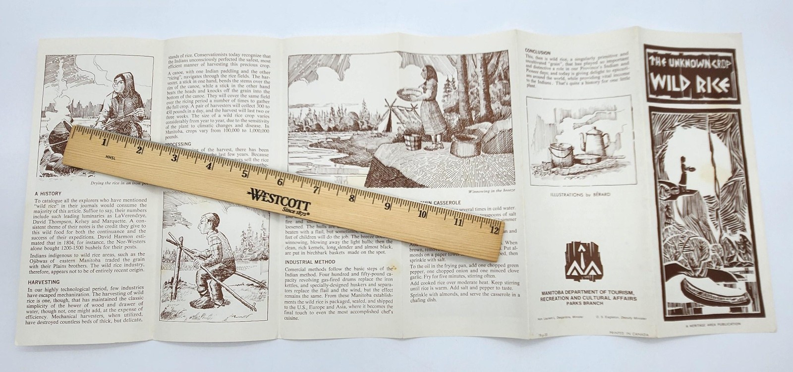 Unknown Crop Wild Rice Manitoba Heritage Cultural Affairs History Canada Food