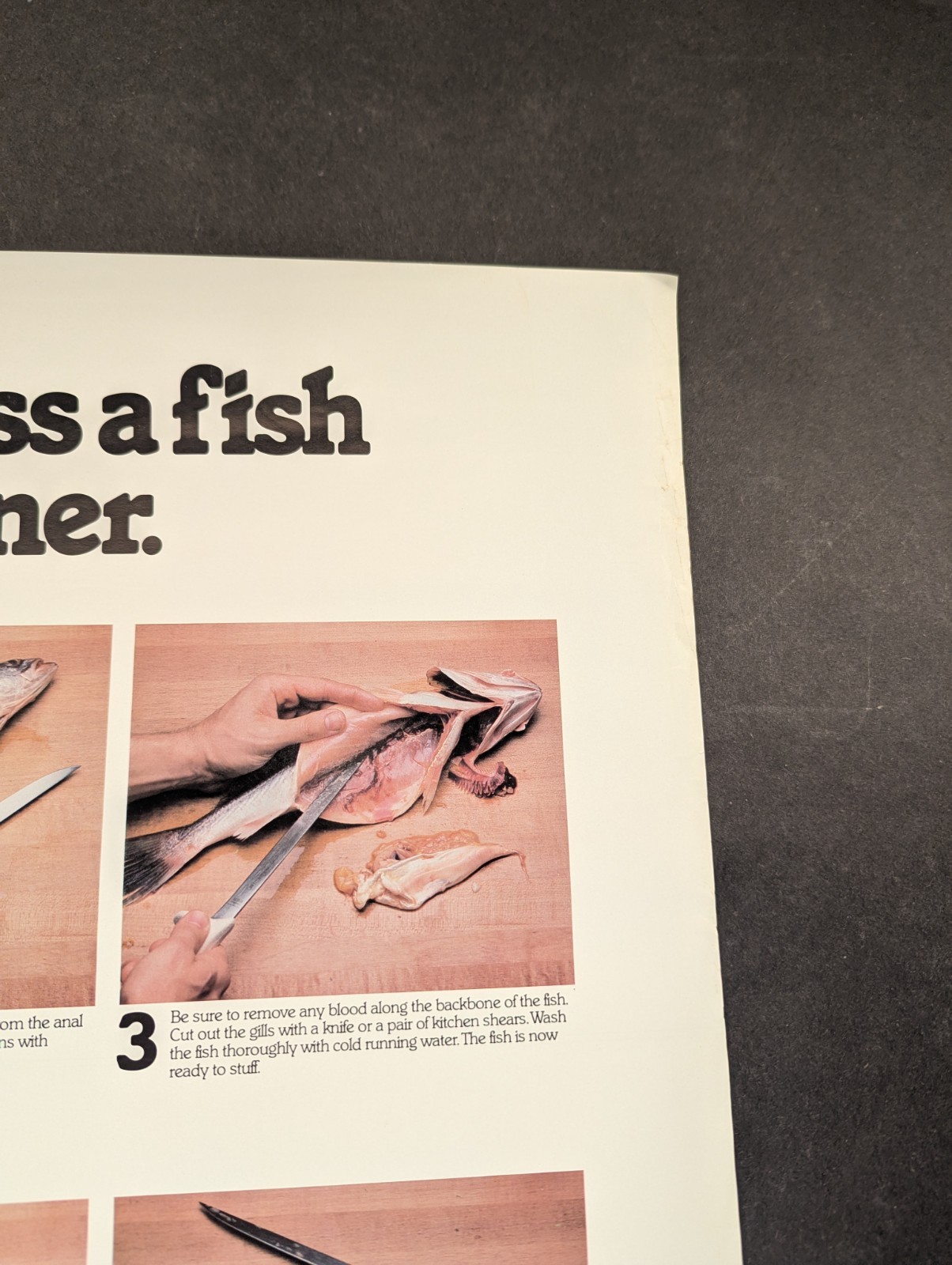 Mid-Atlantic Fisheries Development Foundation How to Dress a Fish Dinner Poster