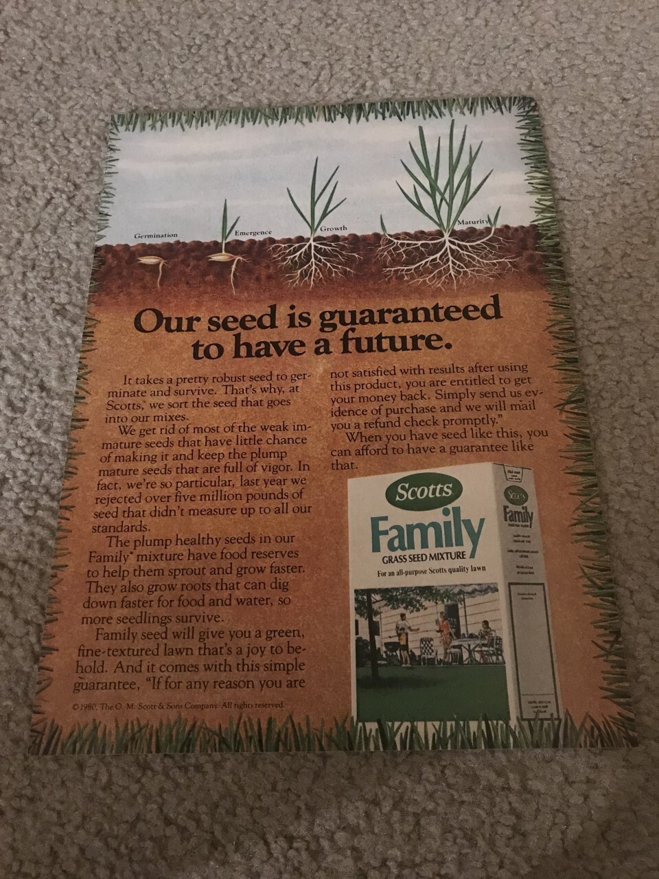 Vintage 1980 SCOTTS SCOTT&rsquo;S FAMILY GRASS SEED MIXTURE FERTILIZER Print Ad