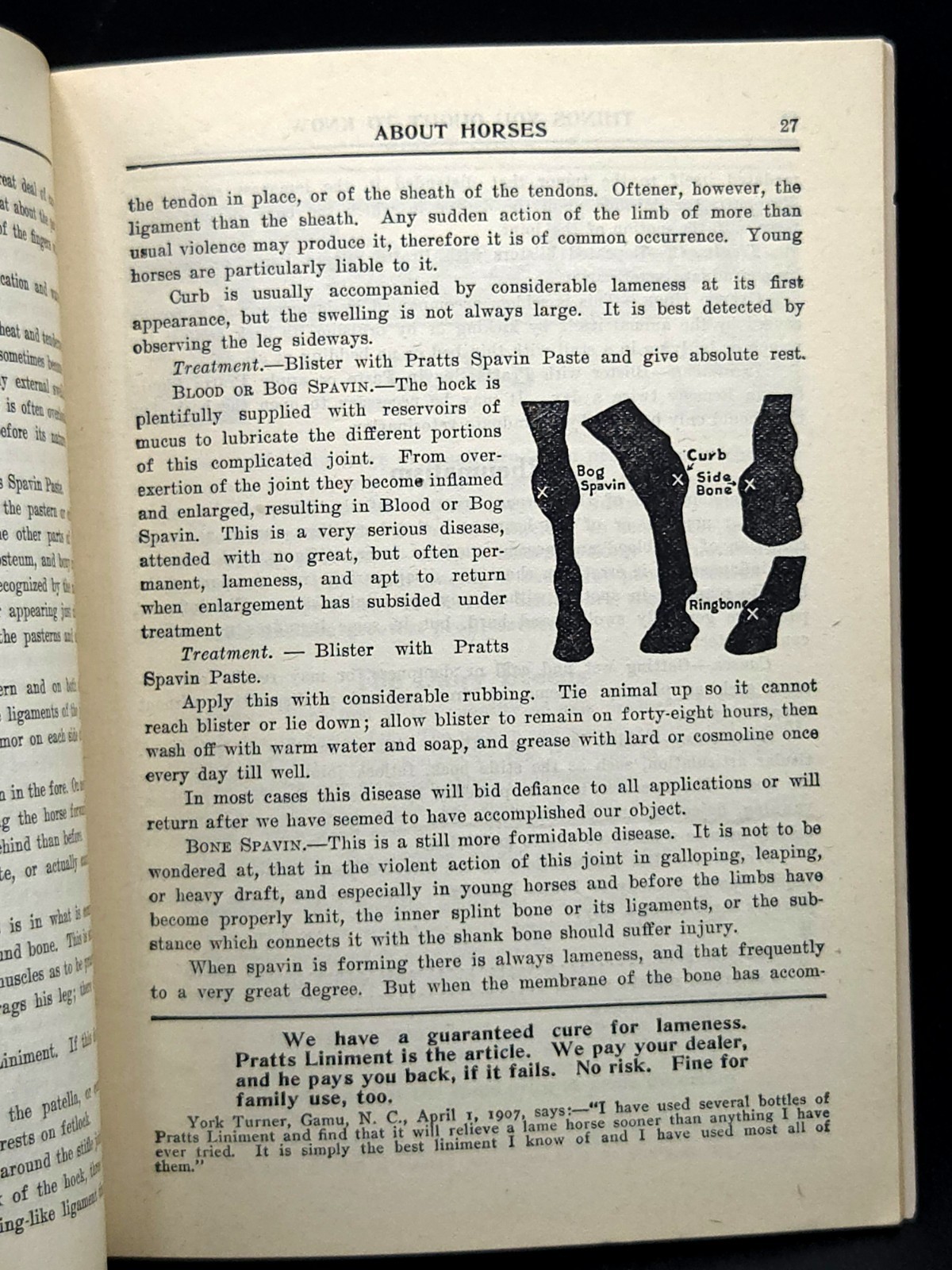 Pratt&rsquo;s Agricultural Farm Animal Feed Book on Raising Horses Cows & Hogs c.1911