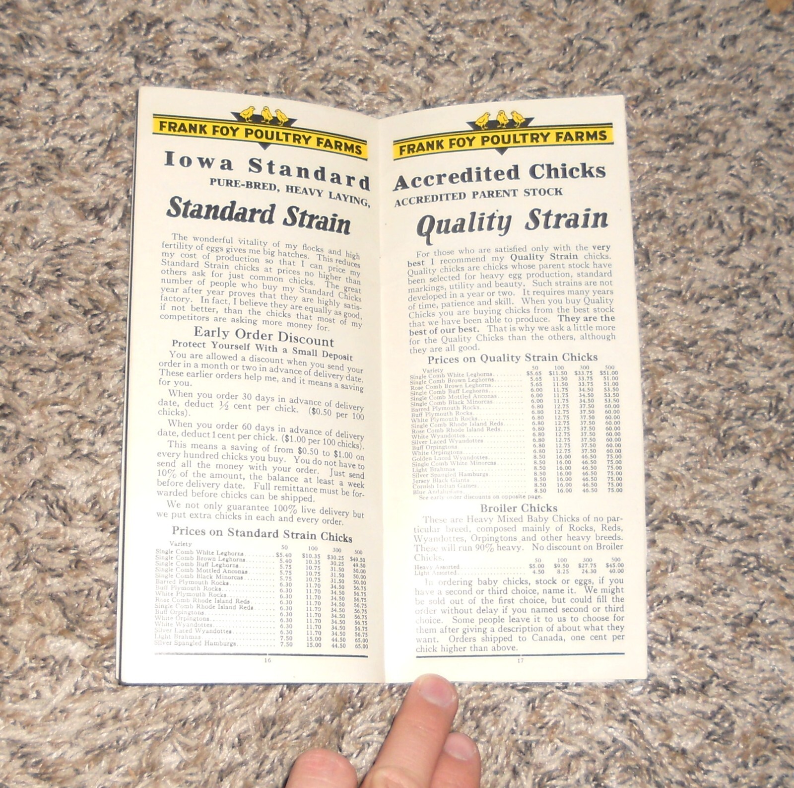Vintage Frank Foy Poultry Farm Clinton IA Iowa Farm Brochure (C15)
