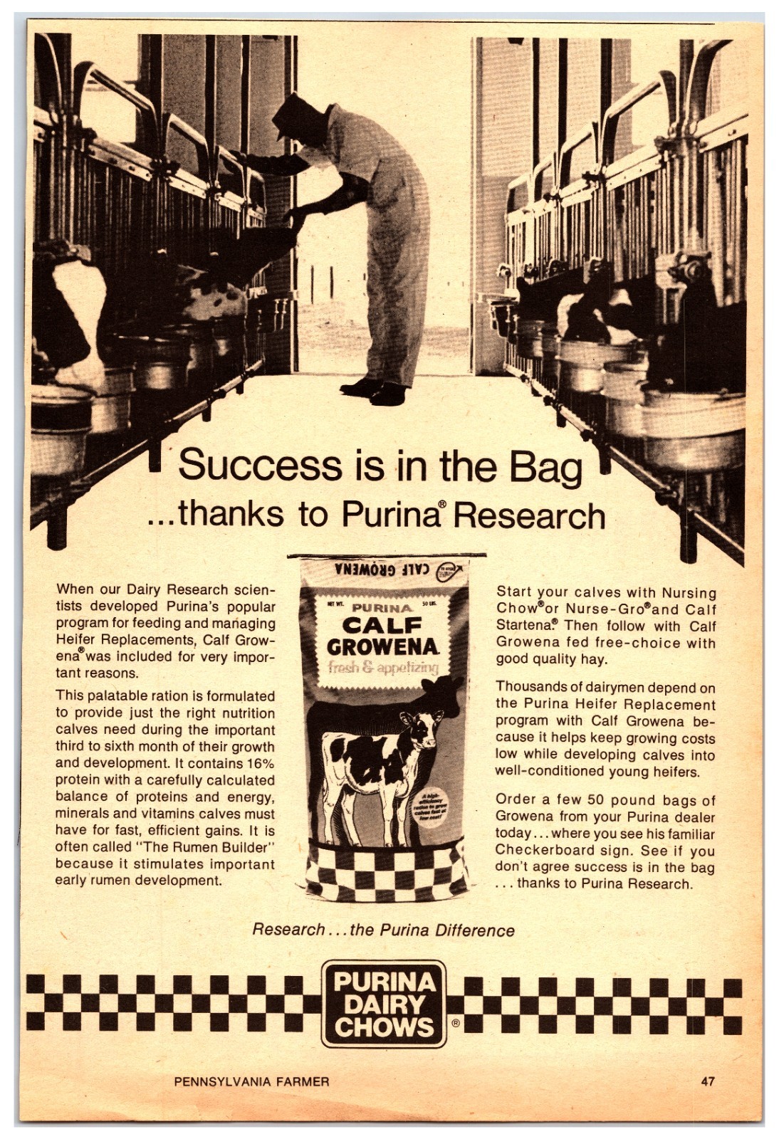 Original 1970s Purina Dairy Chows Ad Print Ad (7.5in x 11in) Advertisement