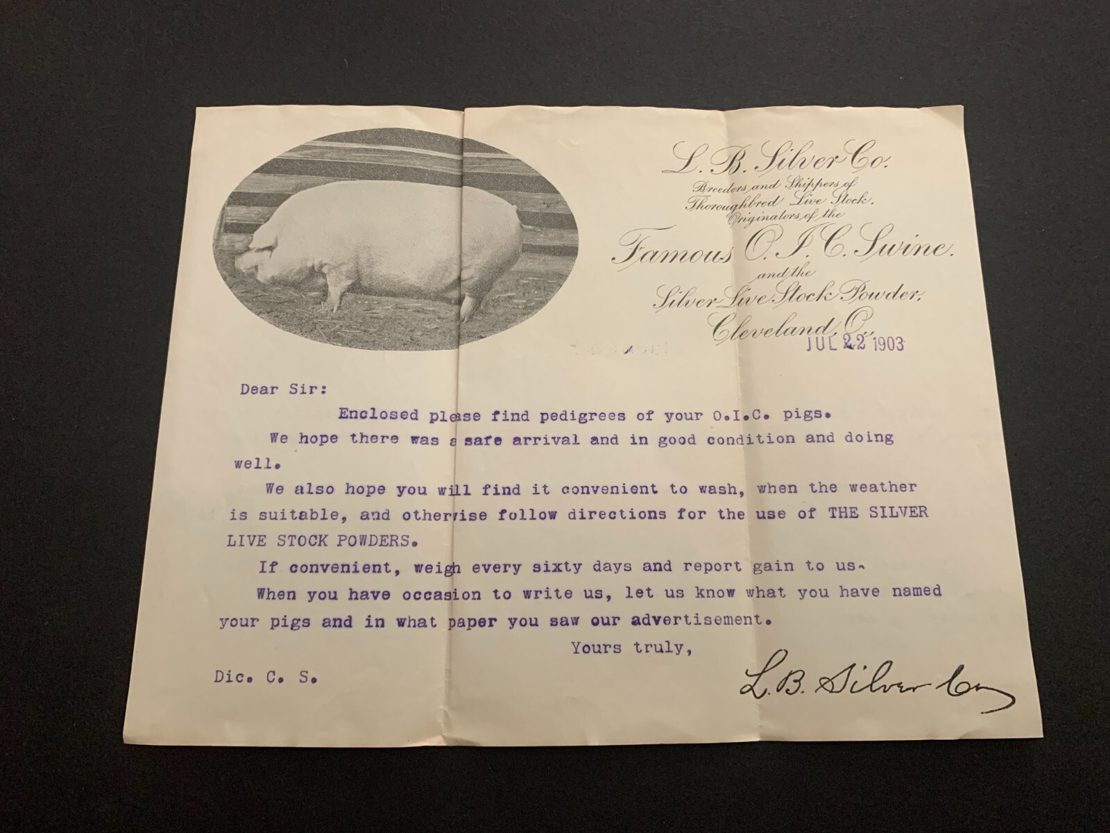 1903 L.B. Silver Famous O.I.C. Swine Letterhead Cleveland Ohio