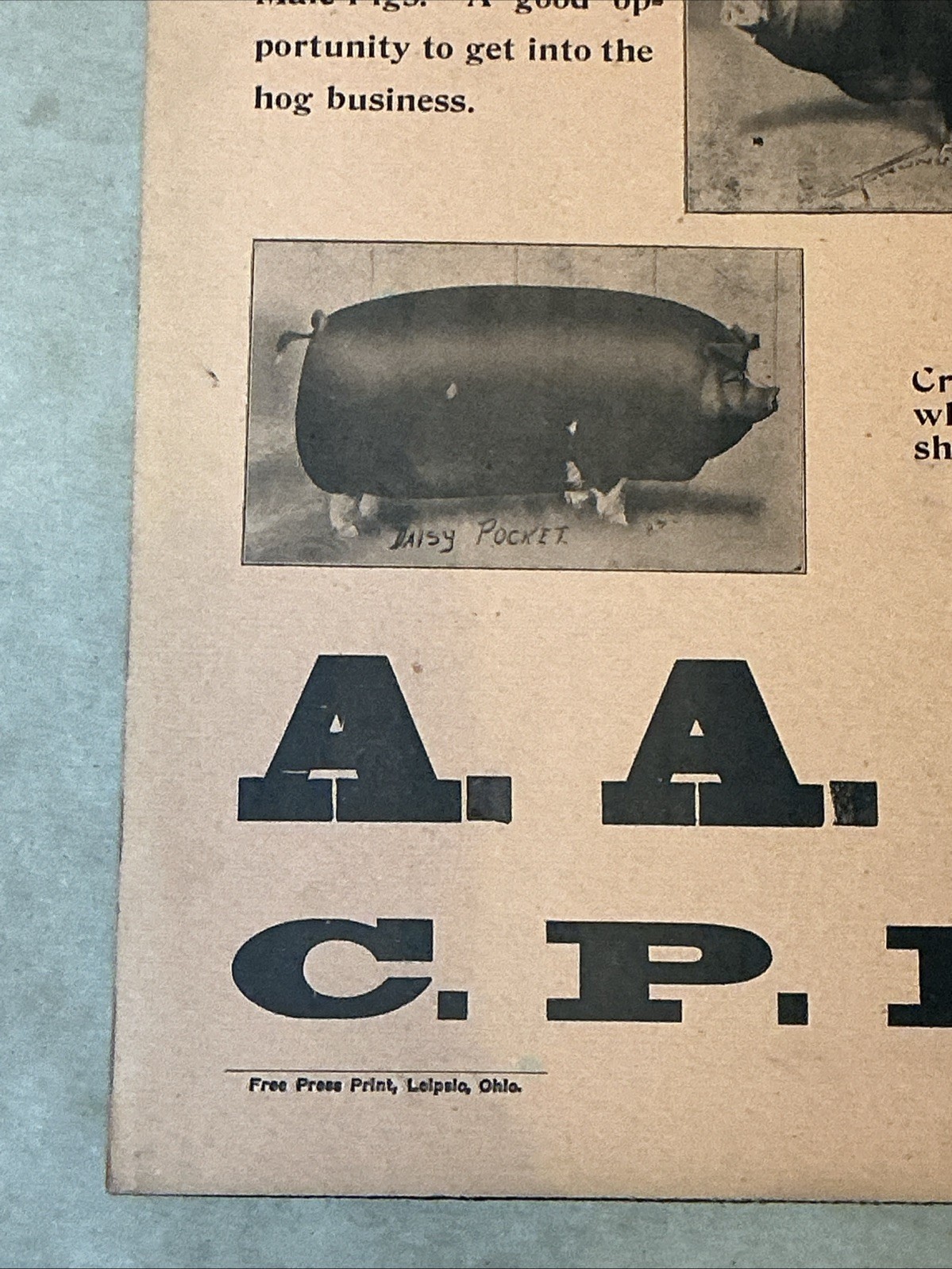 Antique 1910 Original Auction Poster China Hog Public Sale Ohio As Is INV-AC07Y
