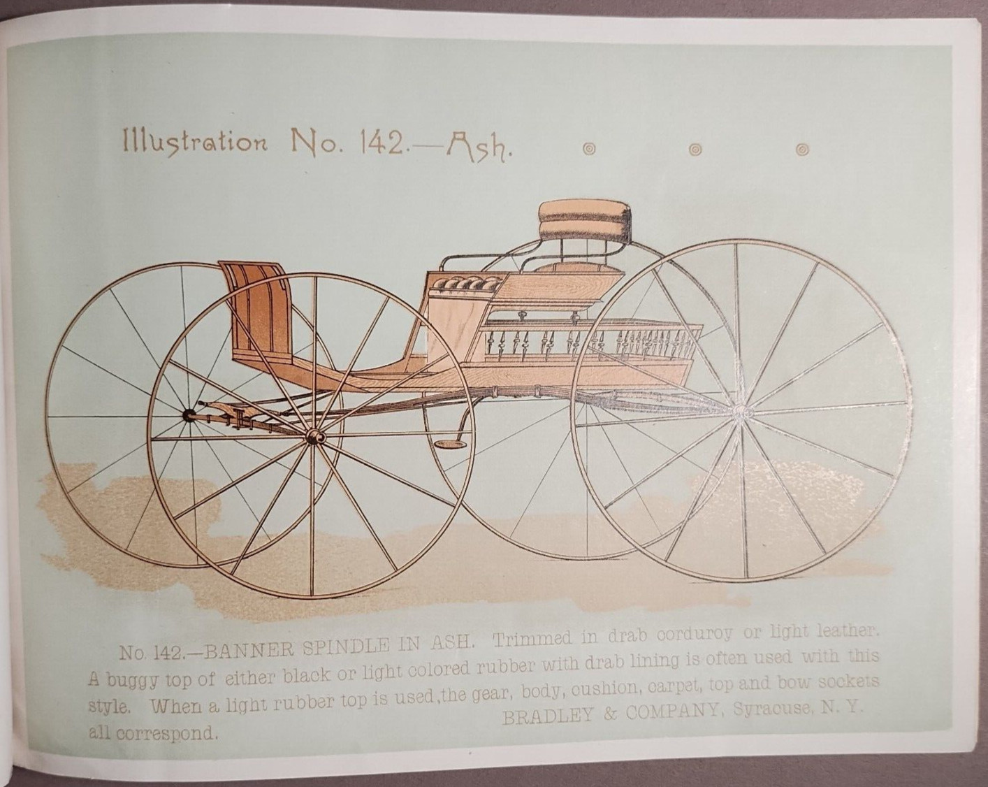 1890s Bradley & Co Syracuse Wagon Carriage Full Color Catalog Original B5-34