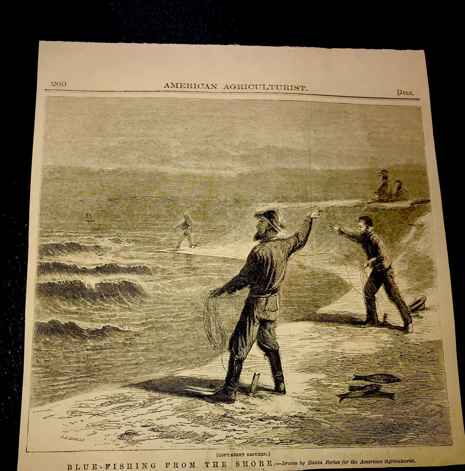 1873 BLUE-FISHING FROM THE SHORE Engraving Advertising