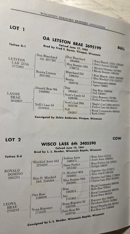 1943 Wisconsin Hereford Cattle Breeders Assoc U-W Madison Livestock Pavilion