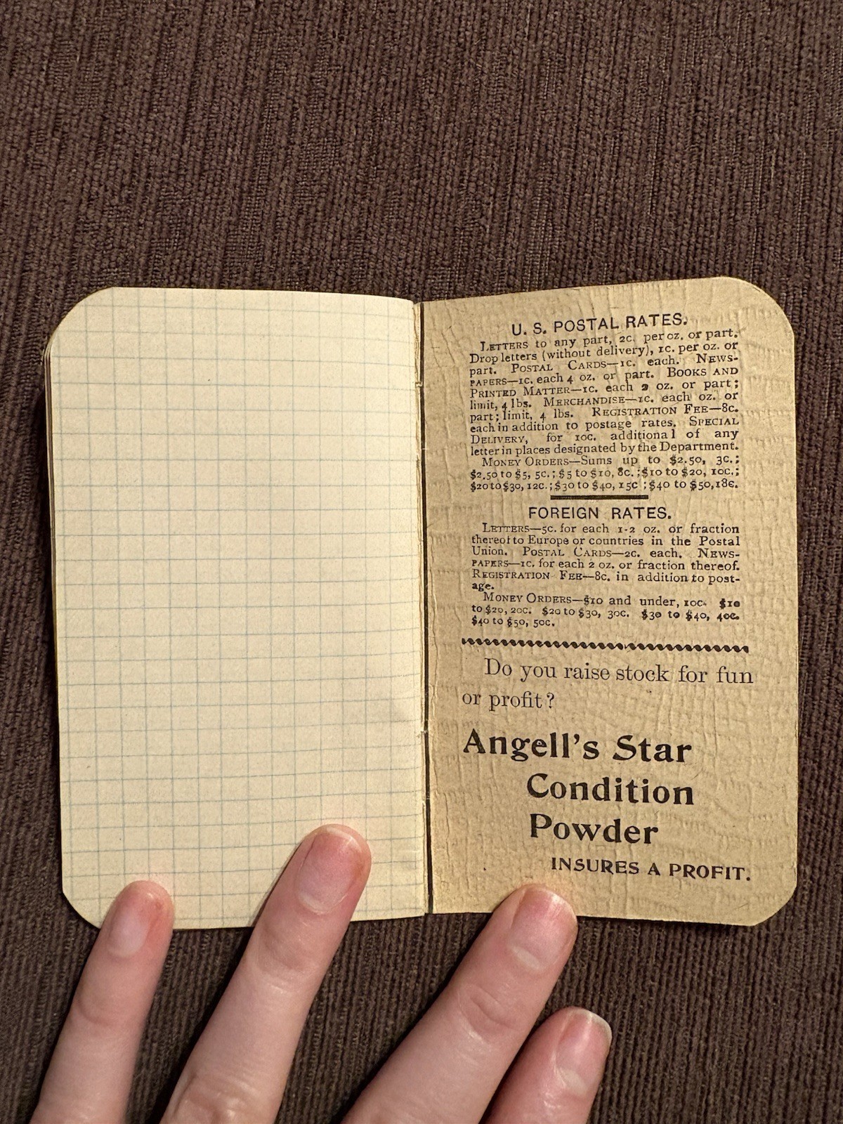 Antique Angell’s Star Condition Powder Knoxville PA Advertising Memo Notebook
