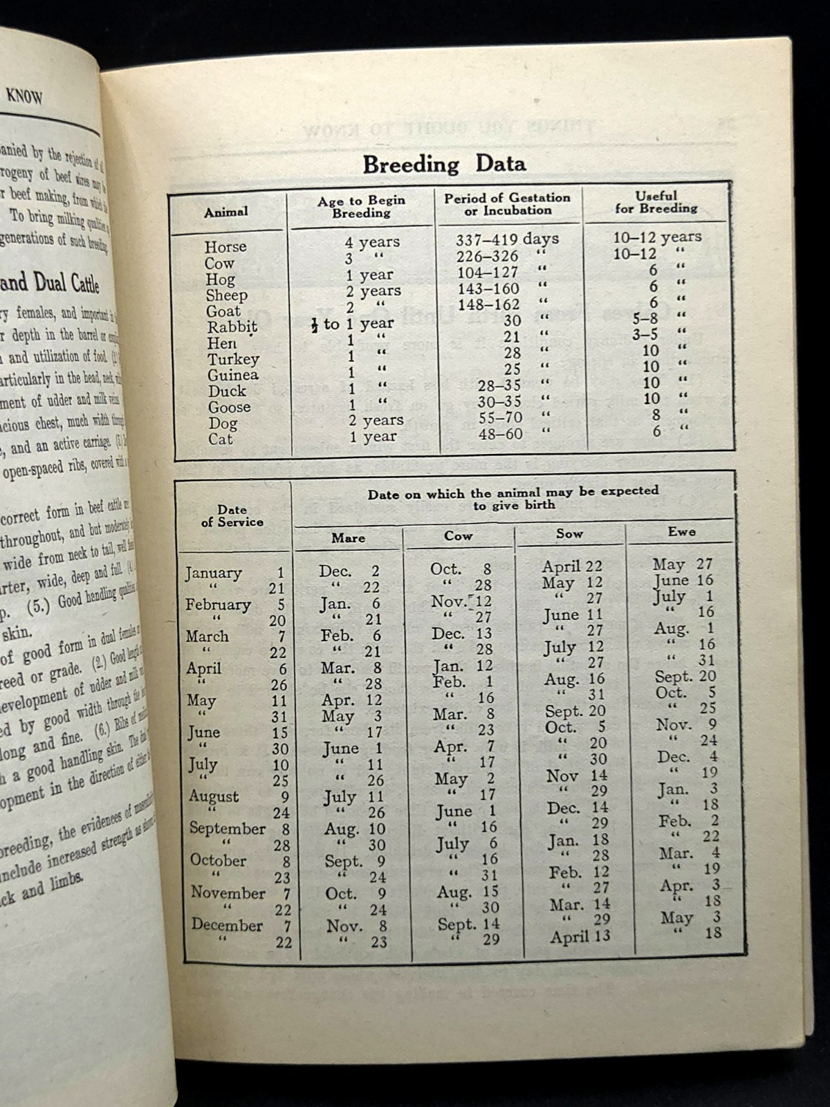 Pratt&rsquo;s Agricultural Farm Animal Feed Book on Raising Horses Cows & Hogs c.1911