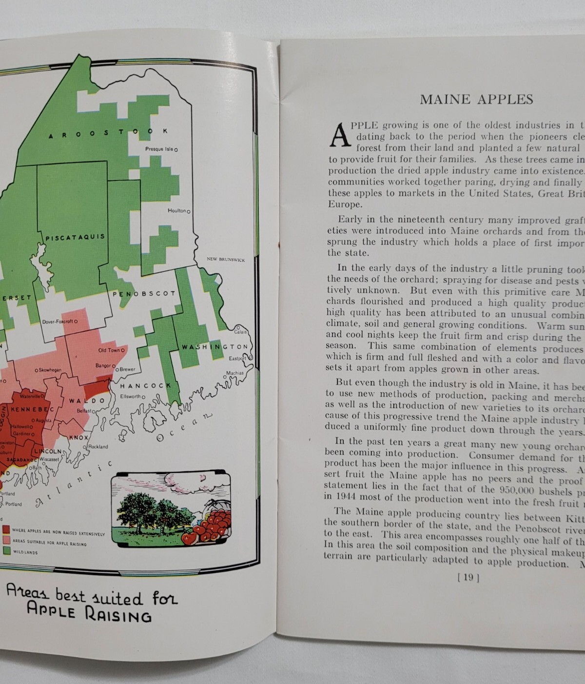Vintage Maine Agriculture Booklet Cattle Corn Fruit Chickens Farming Ephemera