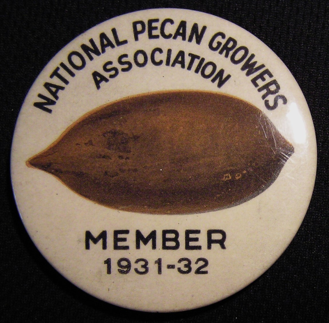 VTG 1931-32 2.25&Prime; NATIONAL PECAN GROWERS ASSN MEMBER PIN BADGE – ST LOUIS BUTTON