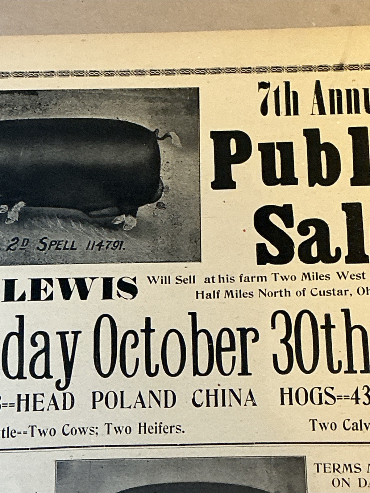 Antique 1911 Original Auction Poster China Hog Public Sale Ohio As Is INV-AC07Z