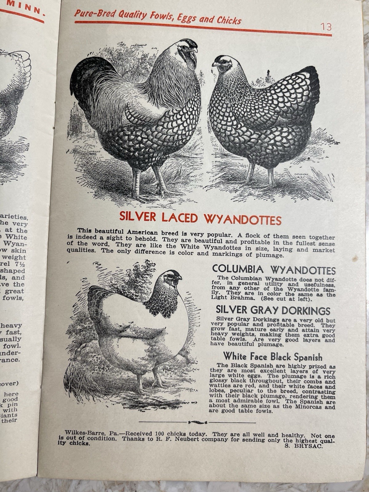 Vintage 1945 Neubert&rsquo;s Neubert Poultry + Supply Catalog Mankato MN