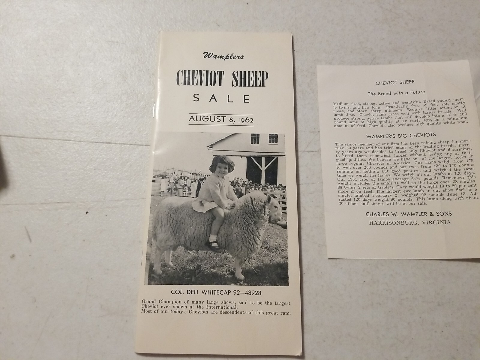 Vintage 1962 Wampler&rsquo;s Cheviot Sheep Sale Catalog & Flyer. Harrisonburg, VA