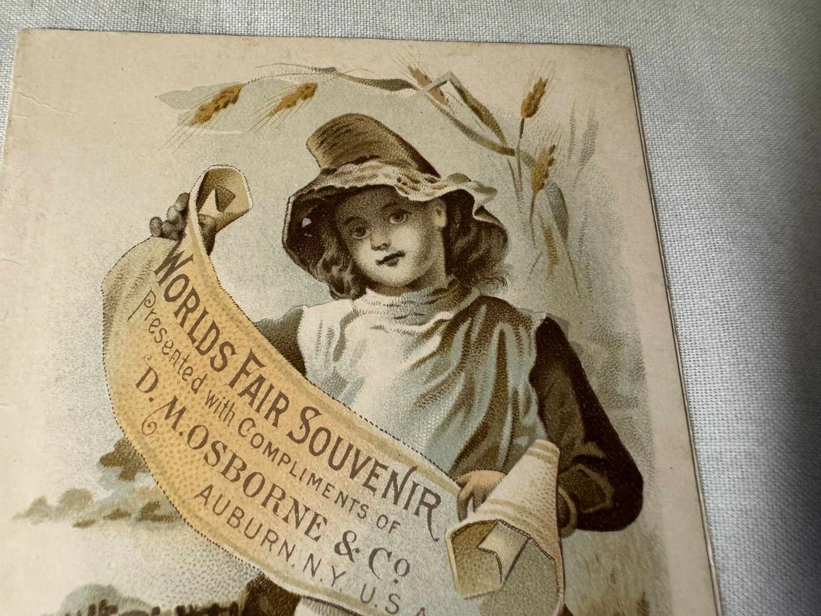 1893 Fold Open Brochure Chicago World&rsquo;s Fair D M Osborne Co Auburn NY Farm Equip