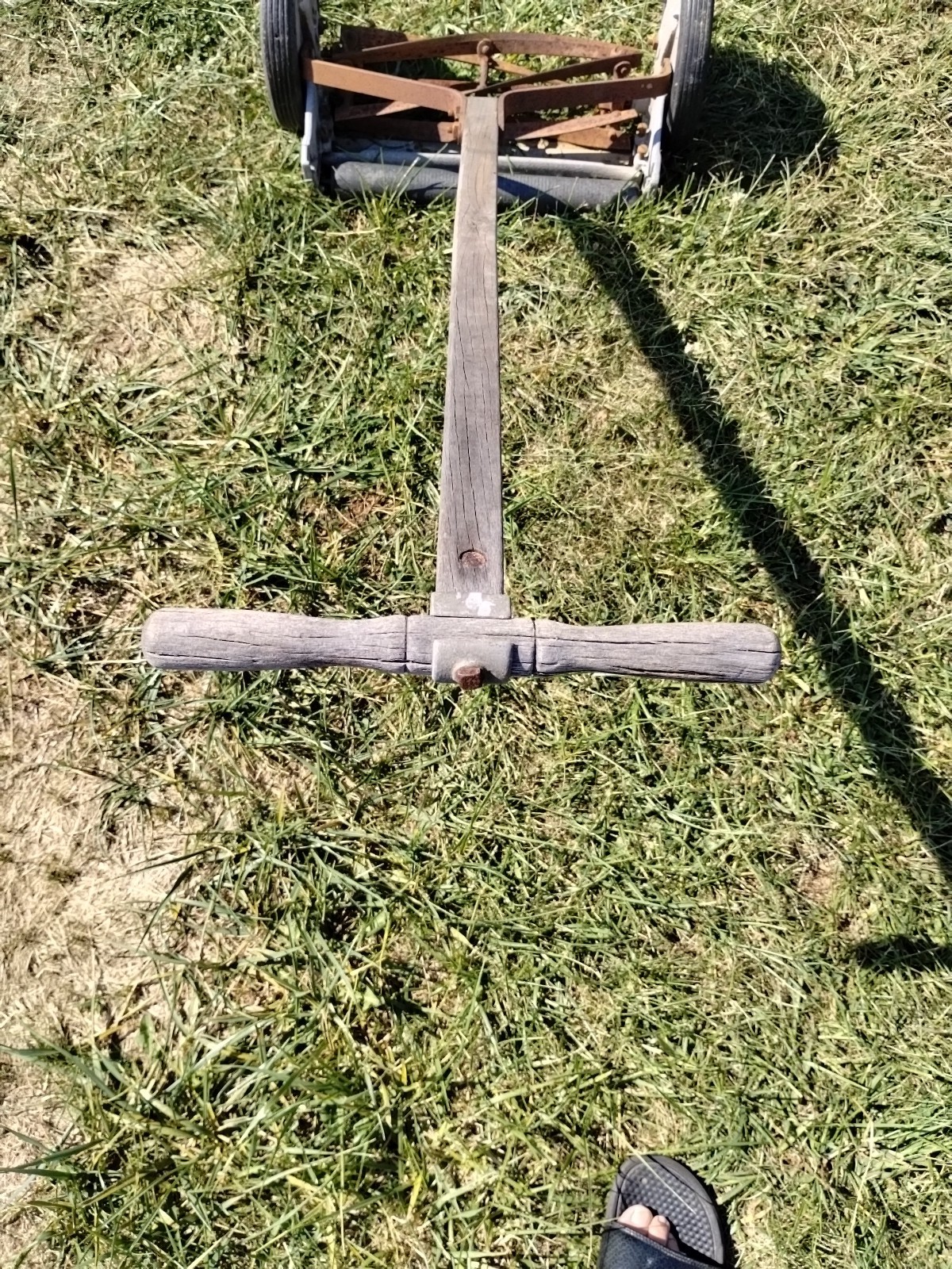 Vintage MF. CO. Manuel Real Mower.. Still Mows!!
