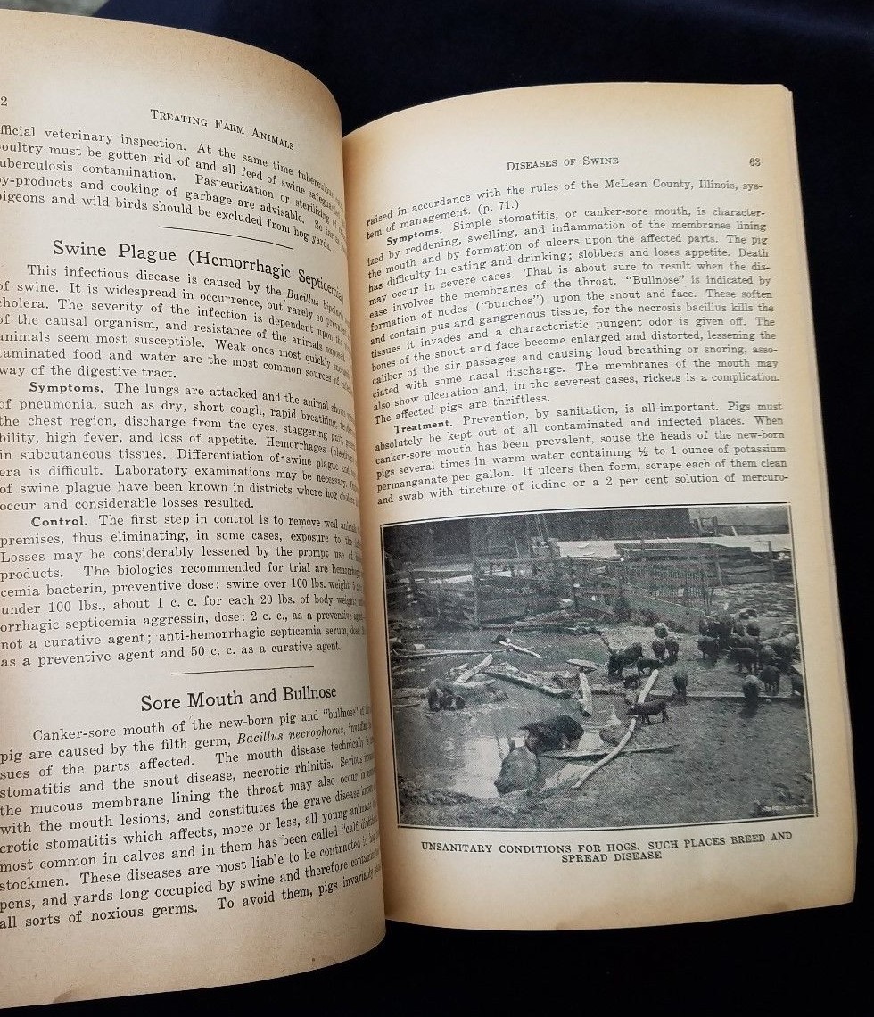 1932 How To Treat Common Ailments Farm Animals Hoard&rsquo;s Dairyman Fort Atkinson WI
