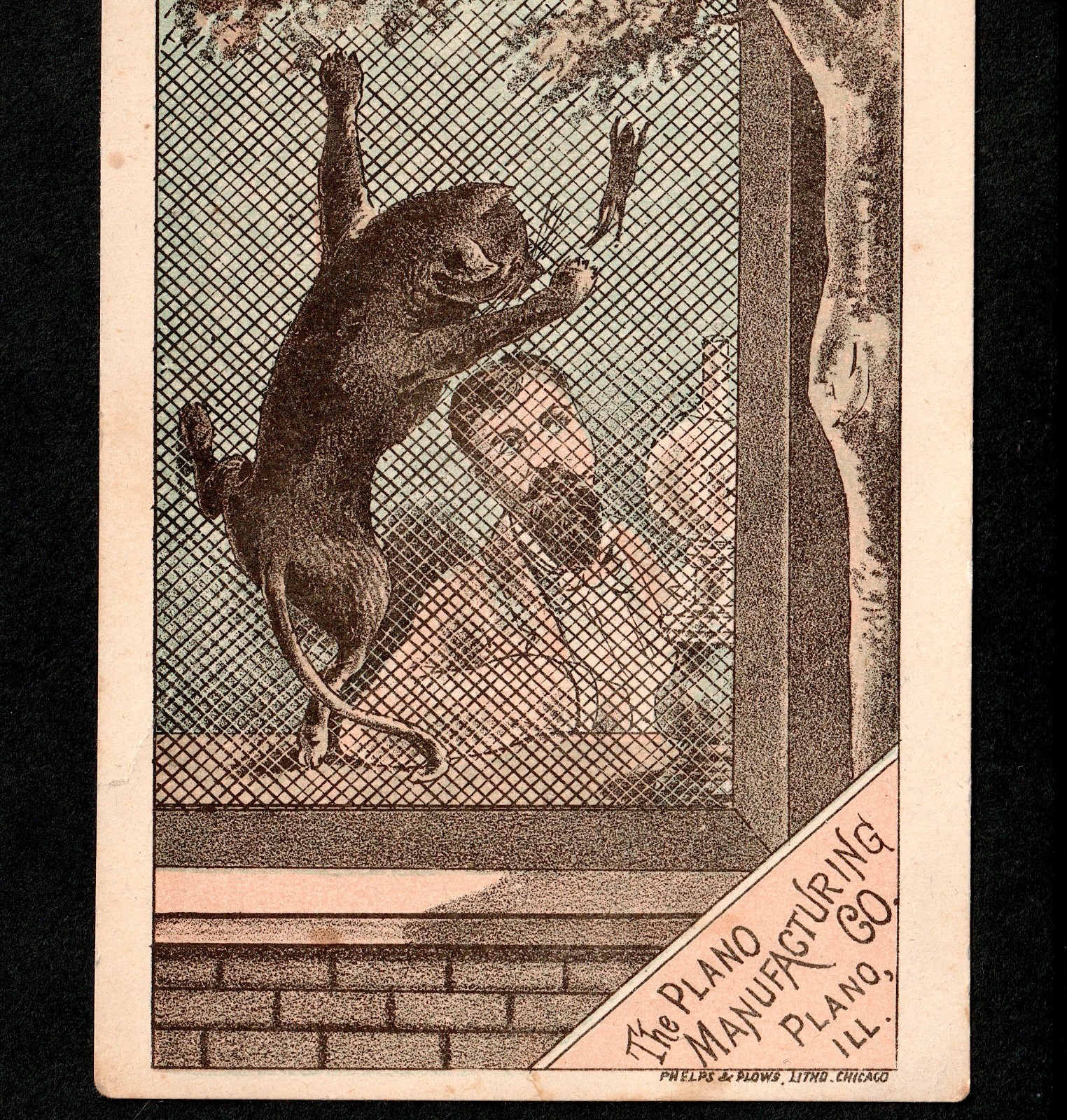 Odd Victorian Humor Cat & Mouse Farm Chase Plano Mfg Protection IL Trade Card LD