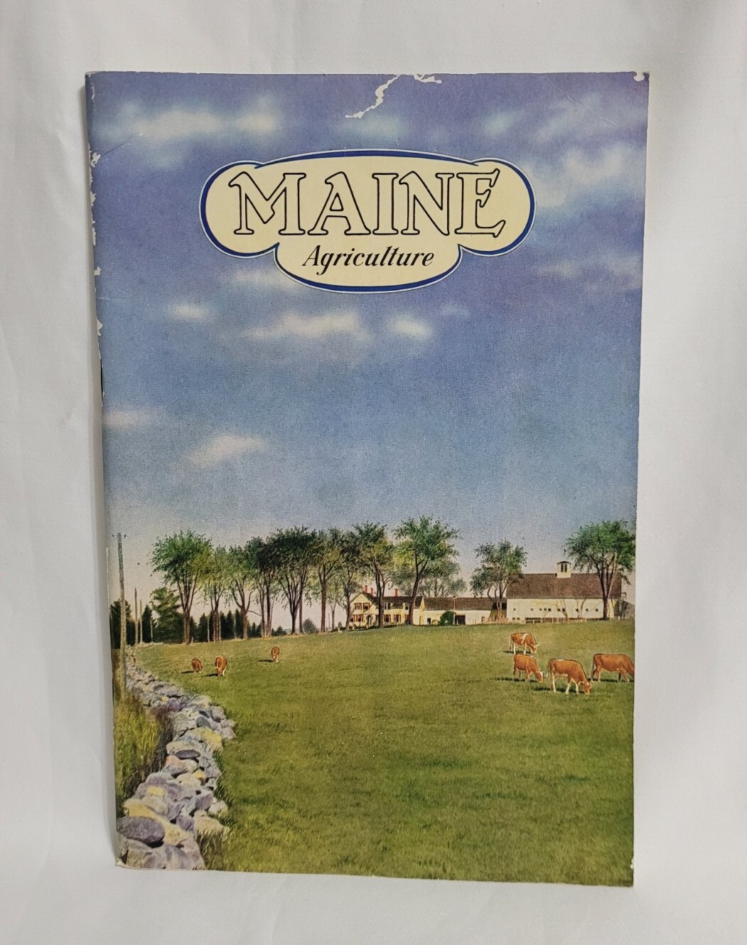 Vintage Maine Agriculture Booklet Cattle Corn Fruit Chickens Farming Ephemera