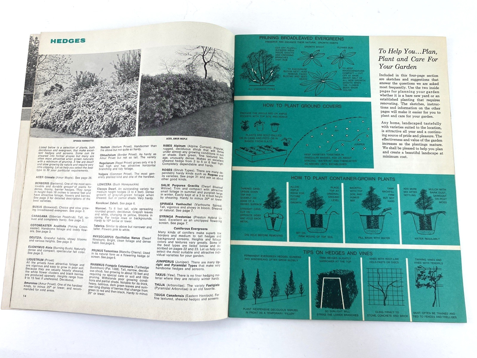 Vtg Dan Majeski Nurseries Landscape Gardening 1967 Catalog Western NY