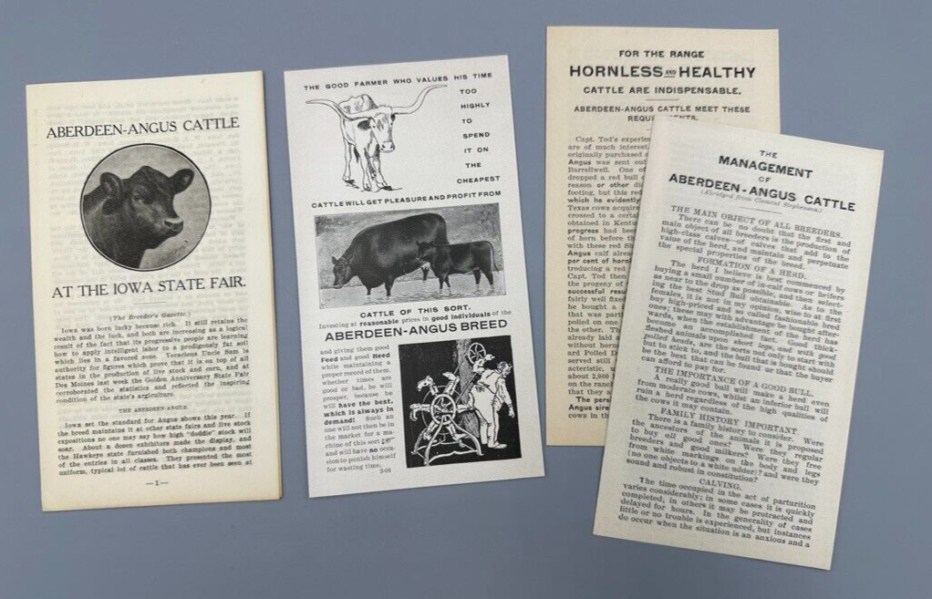 1904 ABERDEEN ANGUS CATTLE Farm IOWA STATE FAIR Advertising Brochures